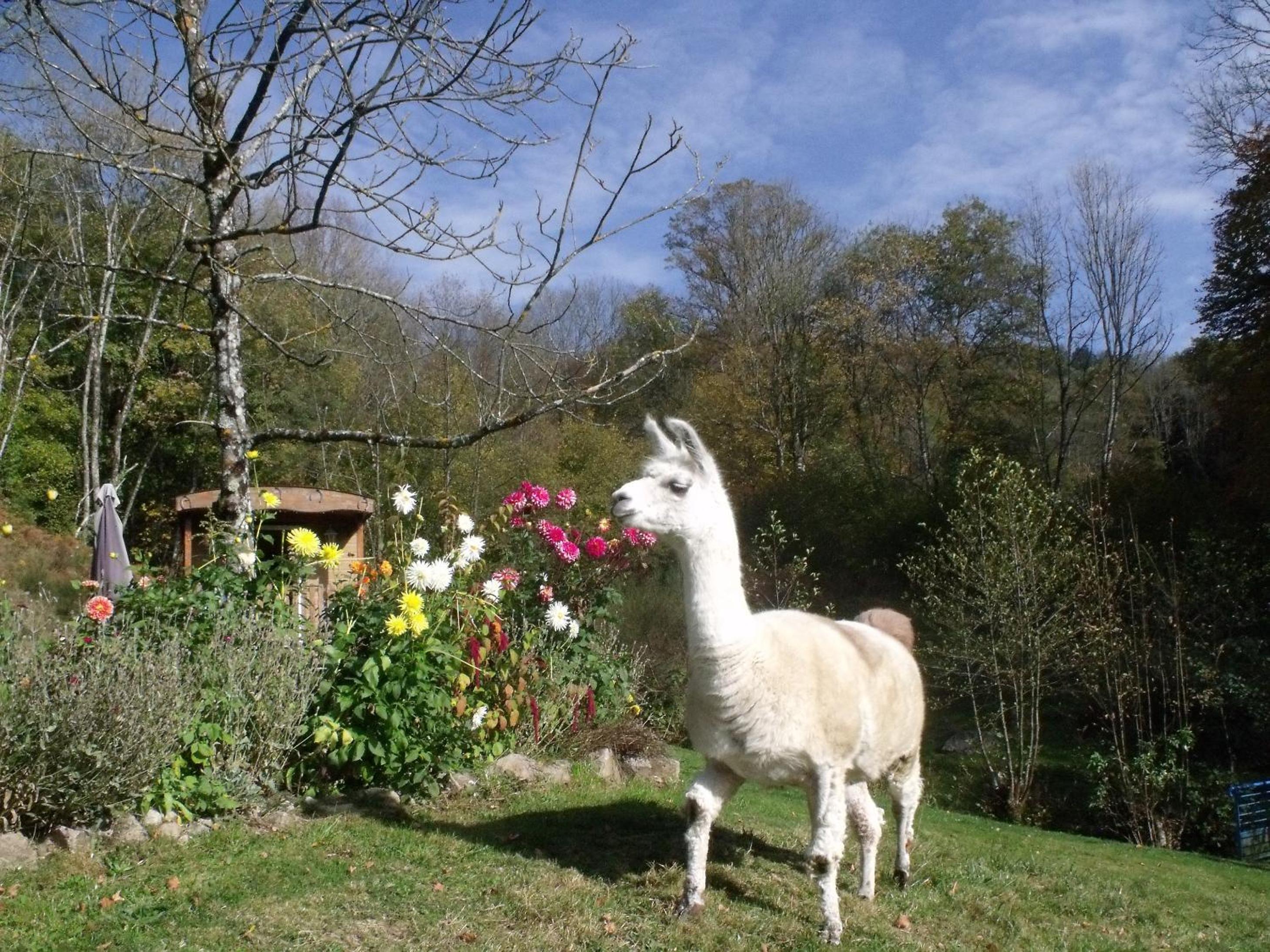 Le Domaine du Châtelet