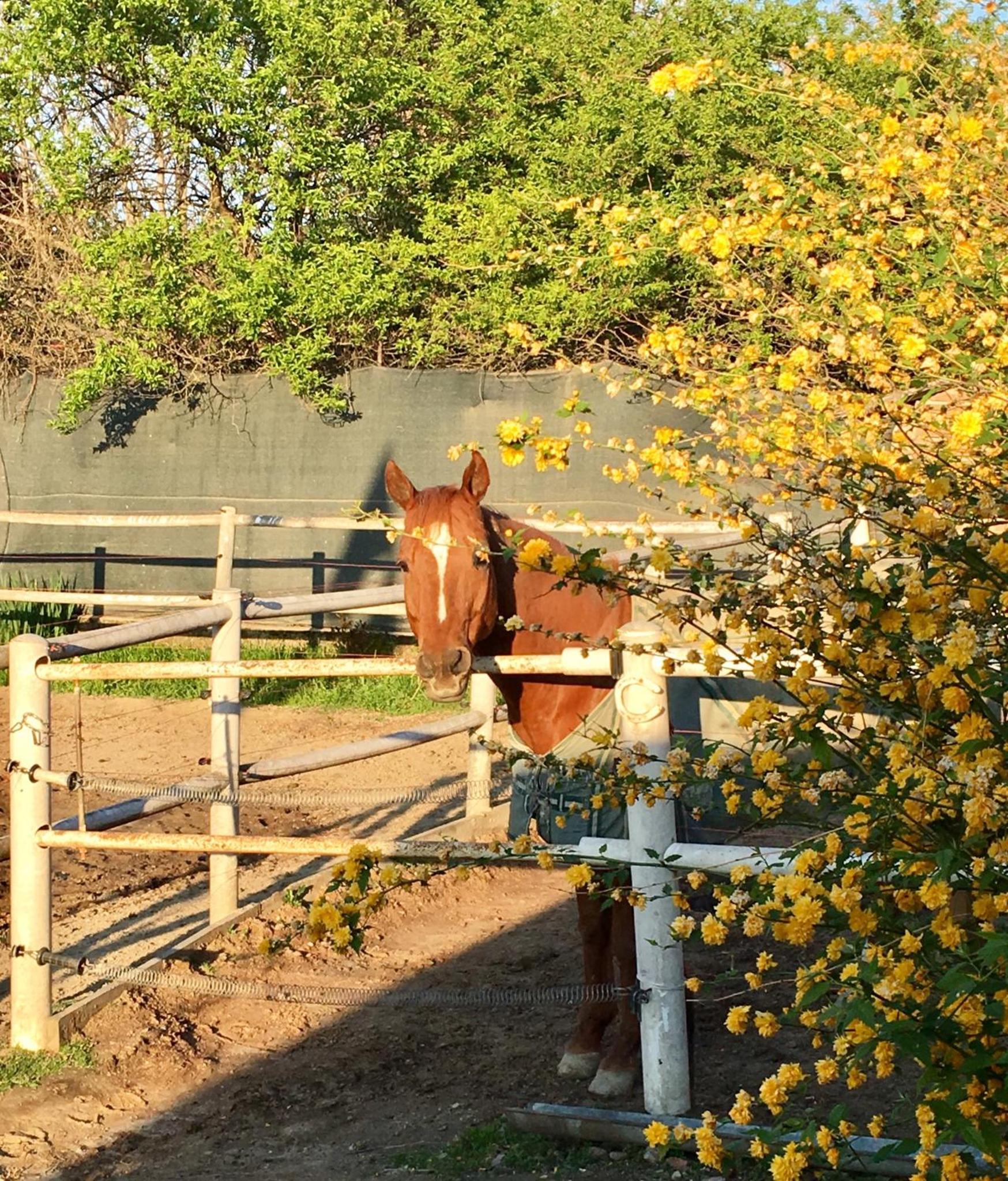 Felix House - Property Image 113