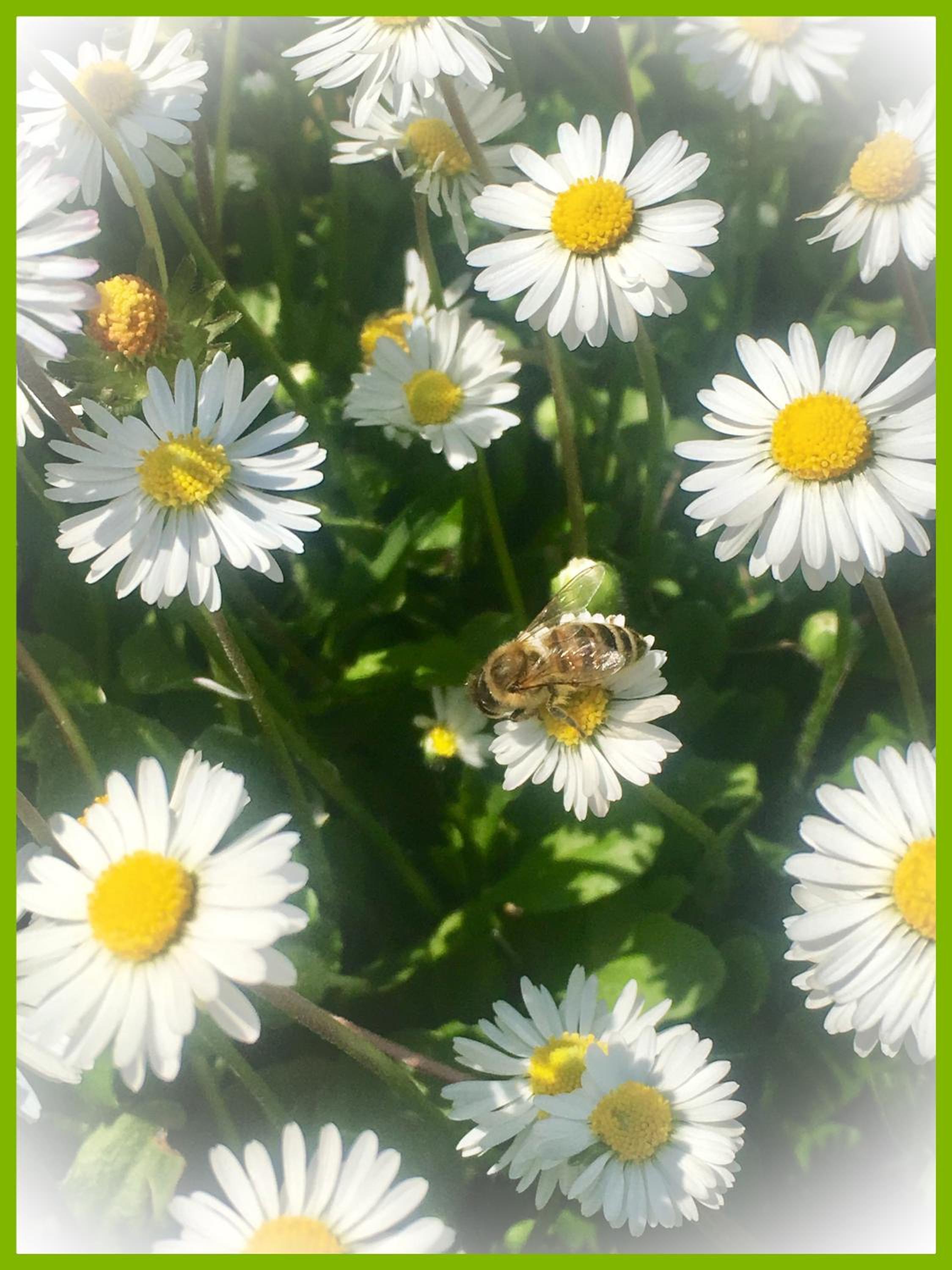 Felix House - Property Image 114