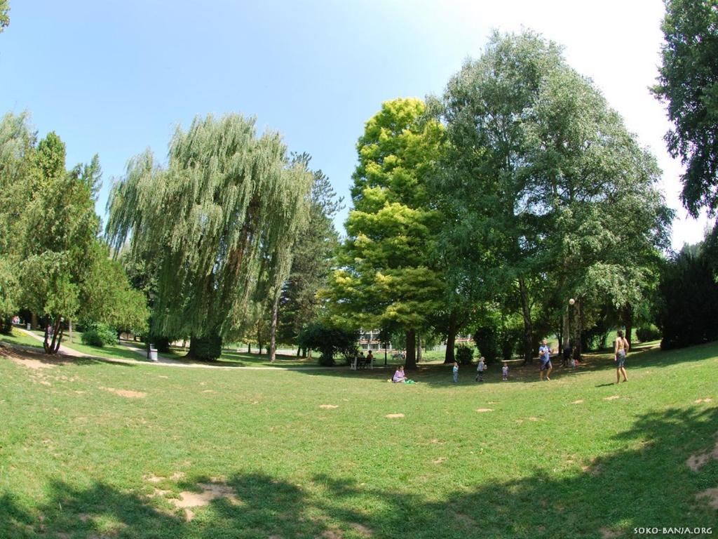Photo 14