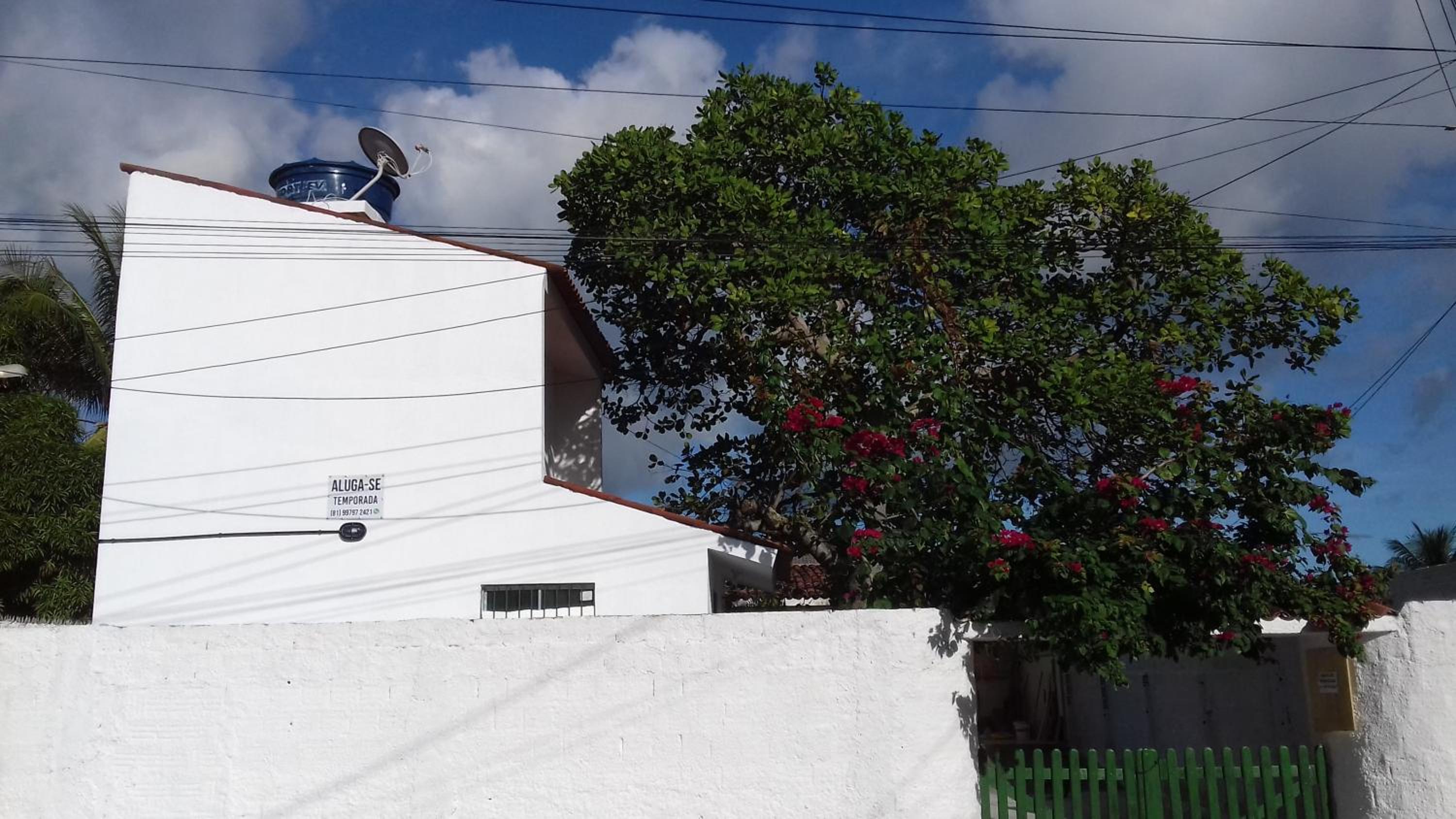 Casa da Árvore