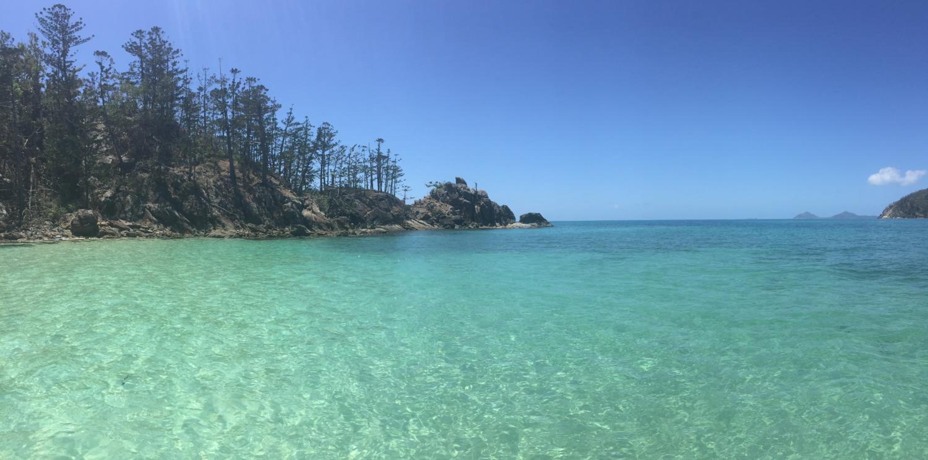 Island Views, photo 30
