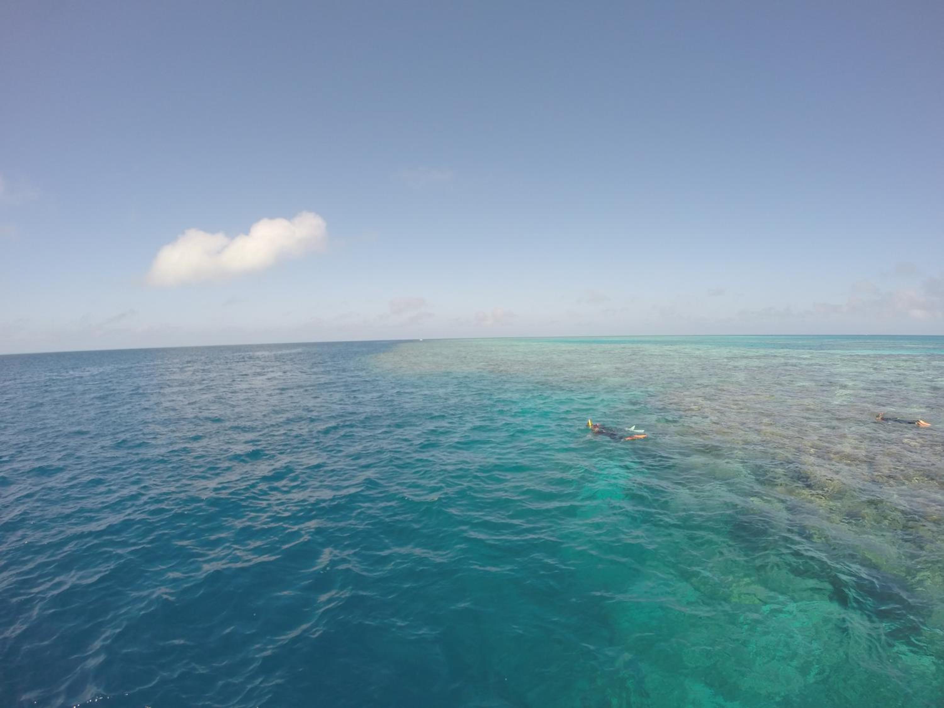 Island Views