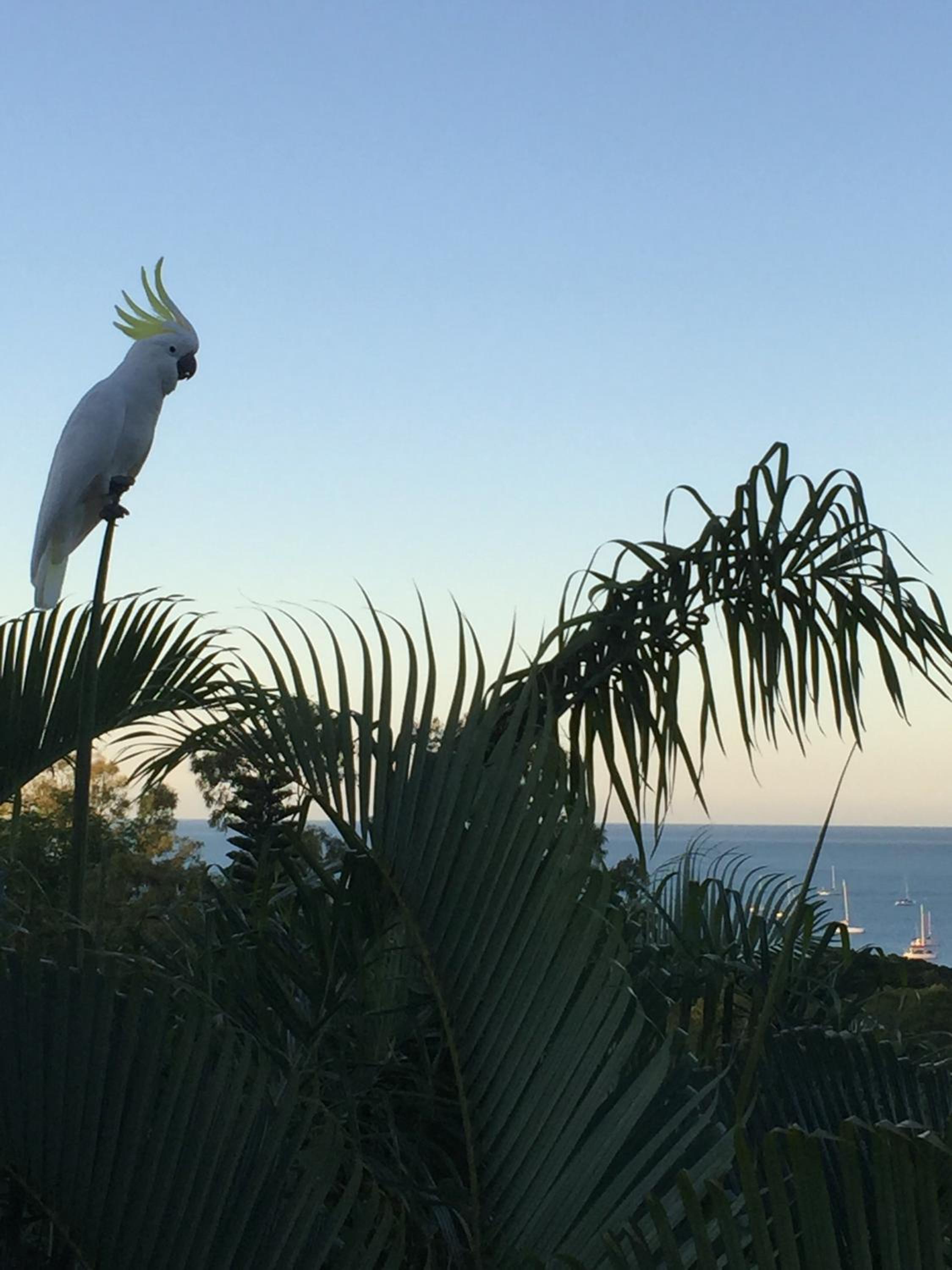 Island Views
