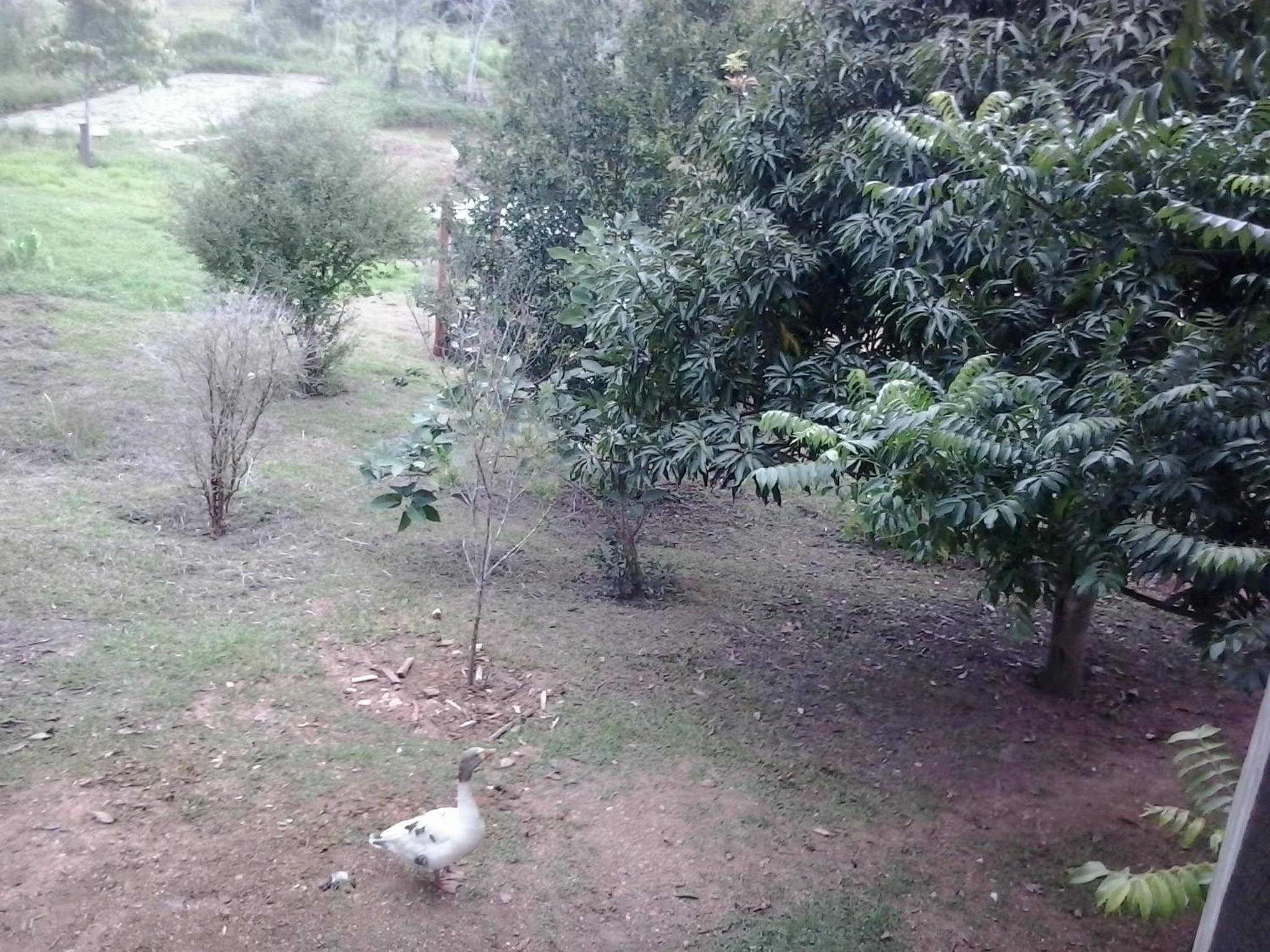 Pousada Sitio Urbano