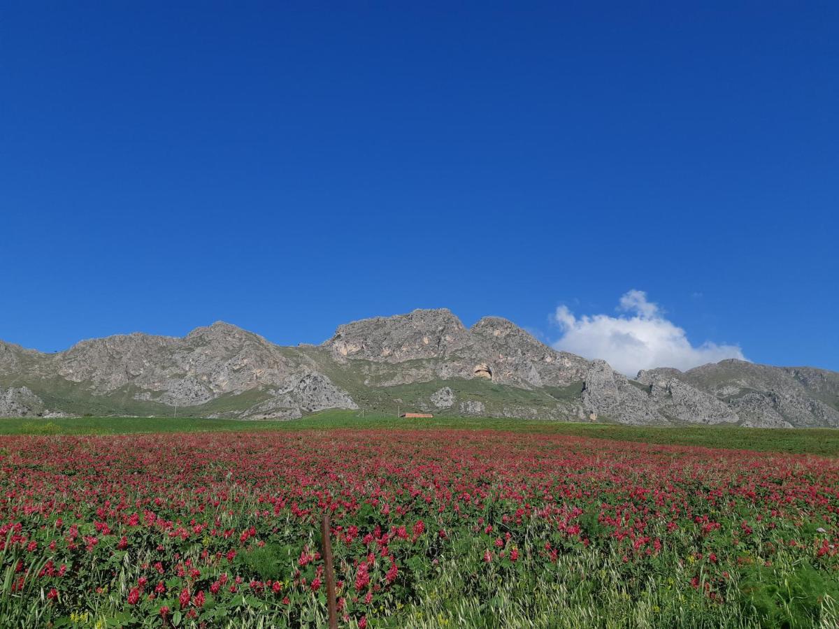 Crapa Licca view 5