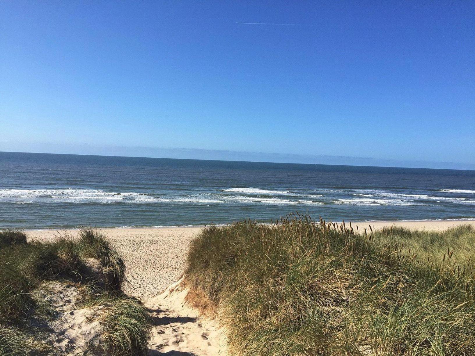 Lachmoewe view 2
