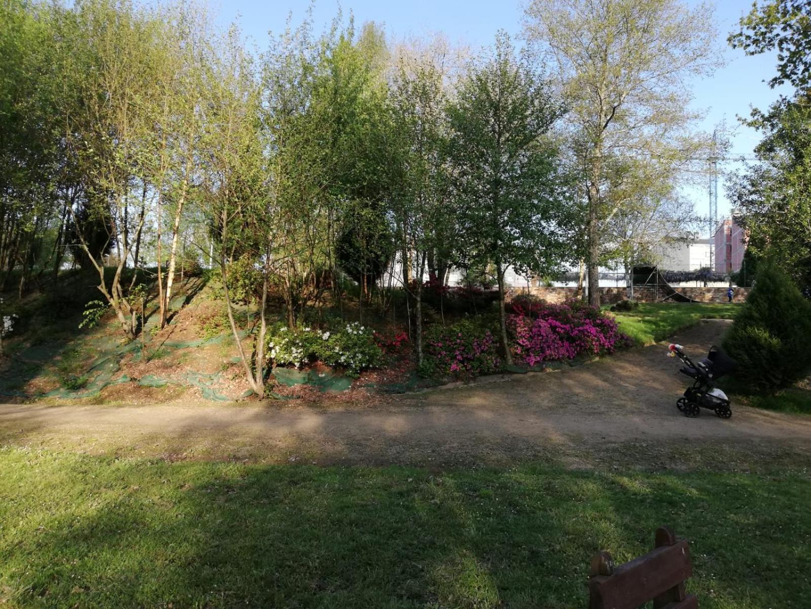 Photo 42