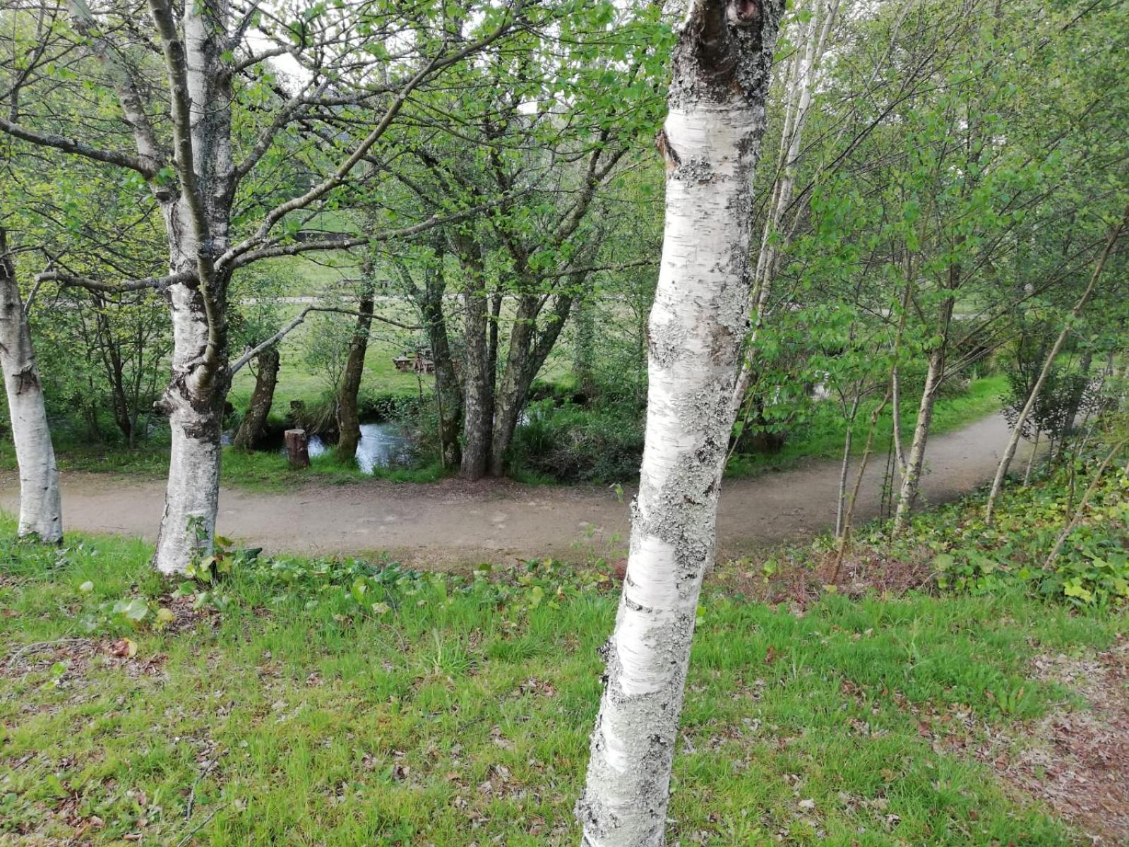 Photo 50