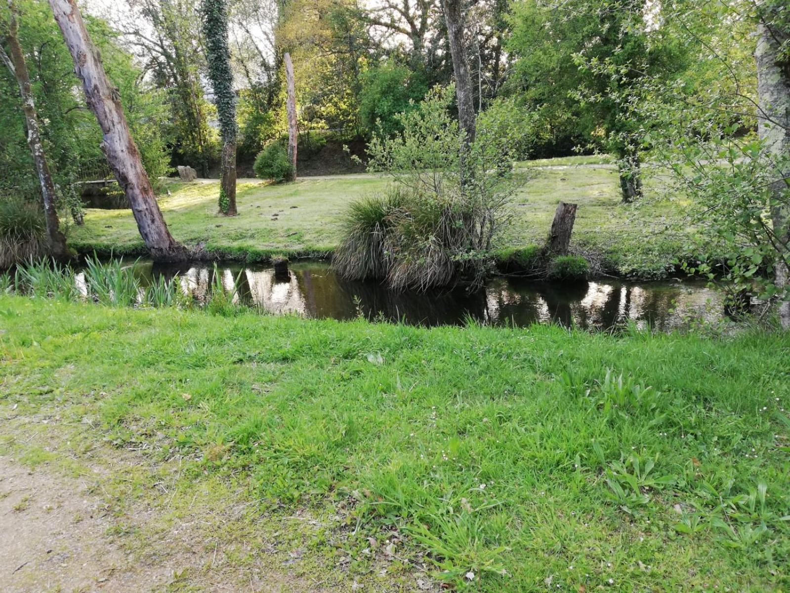 Photo 54