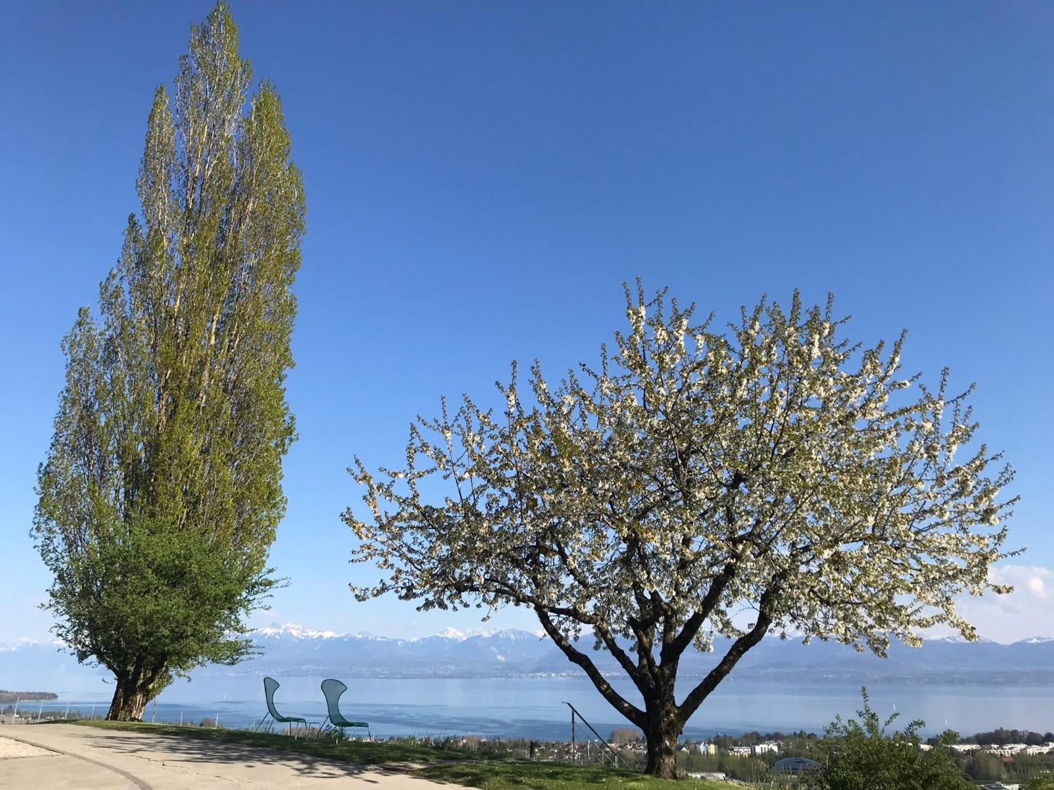 Domaine Beauregard
