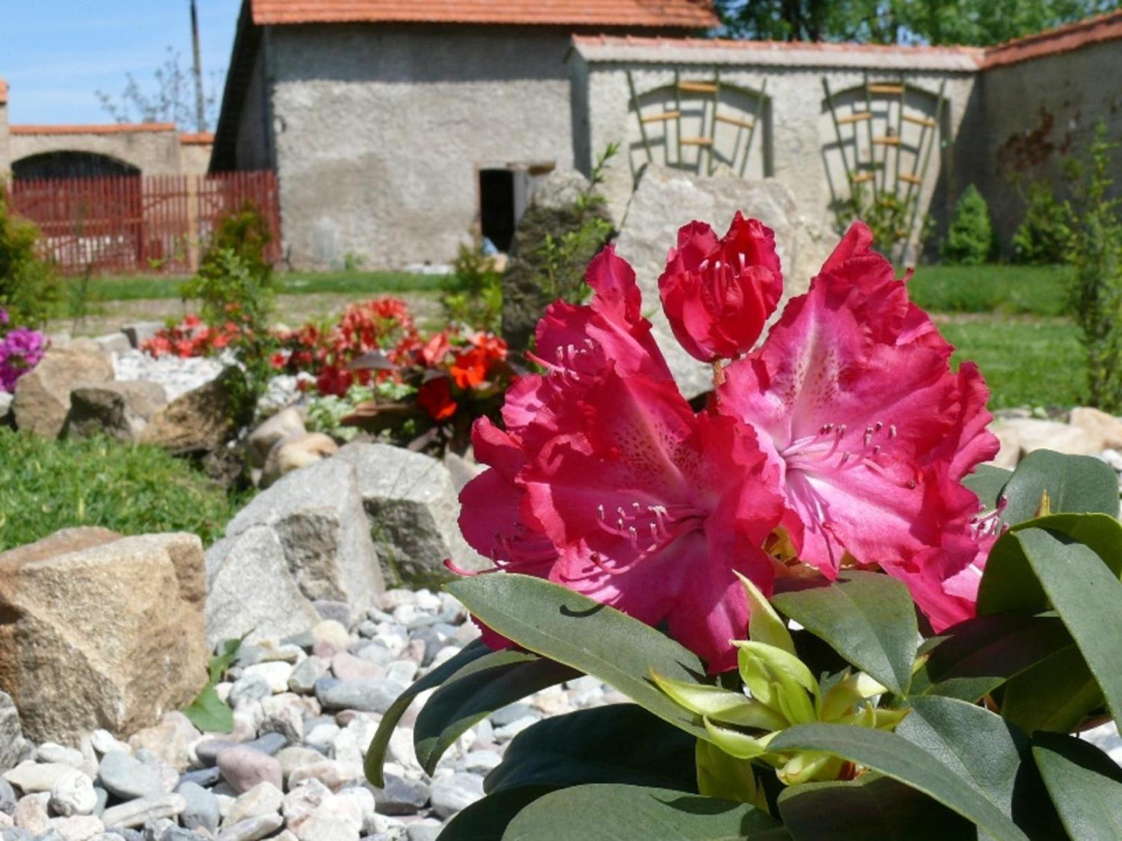 Photo 48