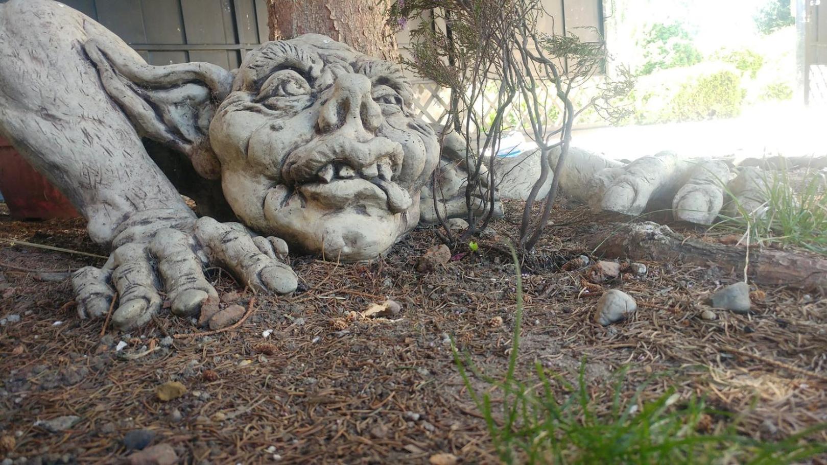 Photo 47