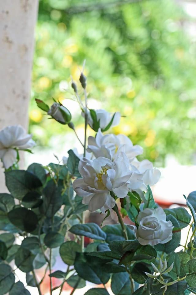 Photo 27
