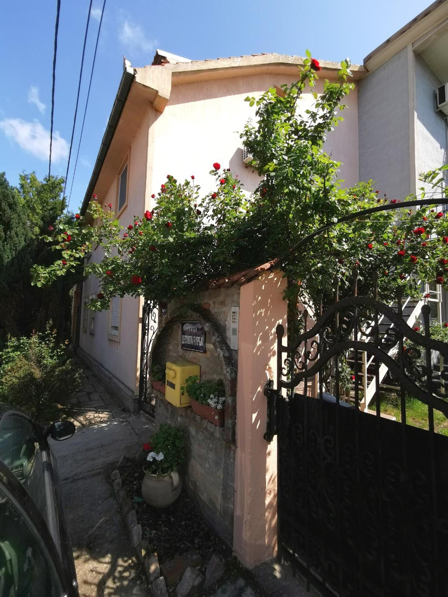Photo 24
