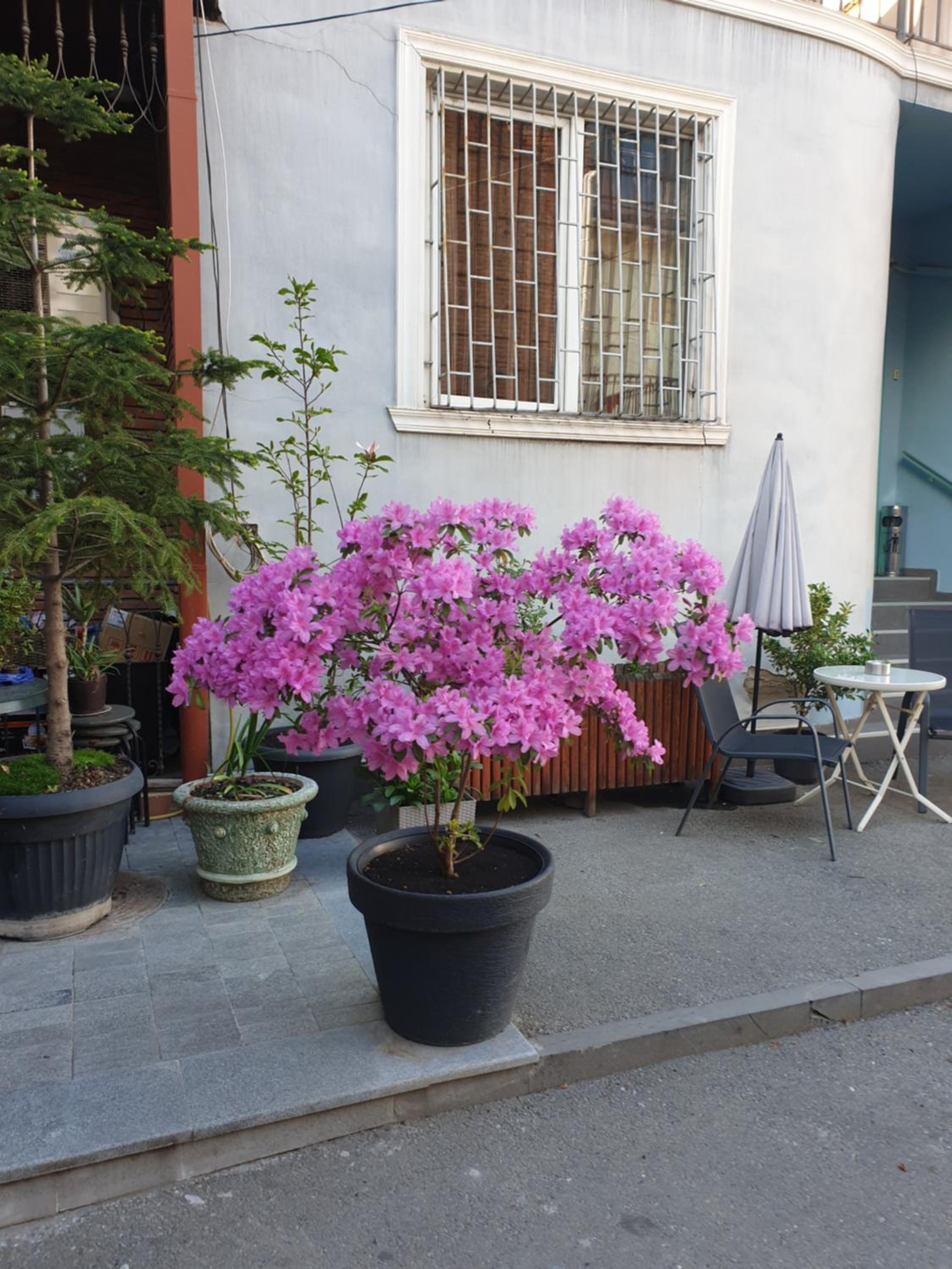 Photo 21