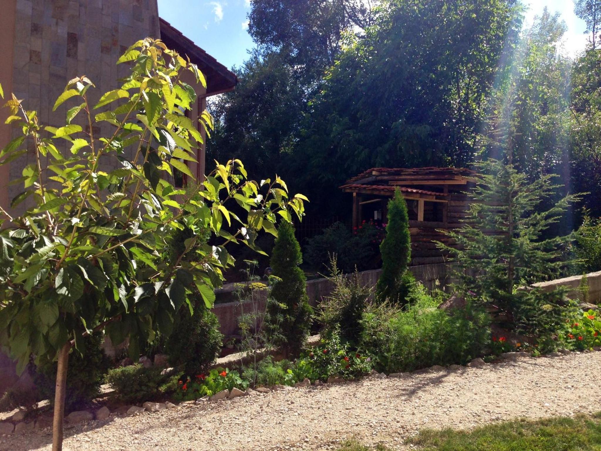 Photo 12
