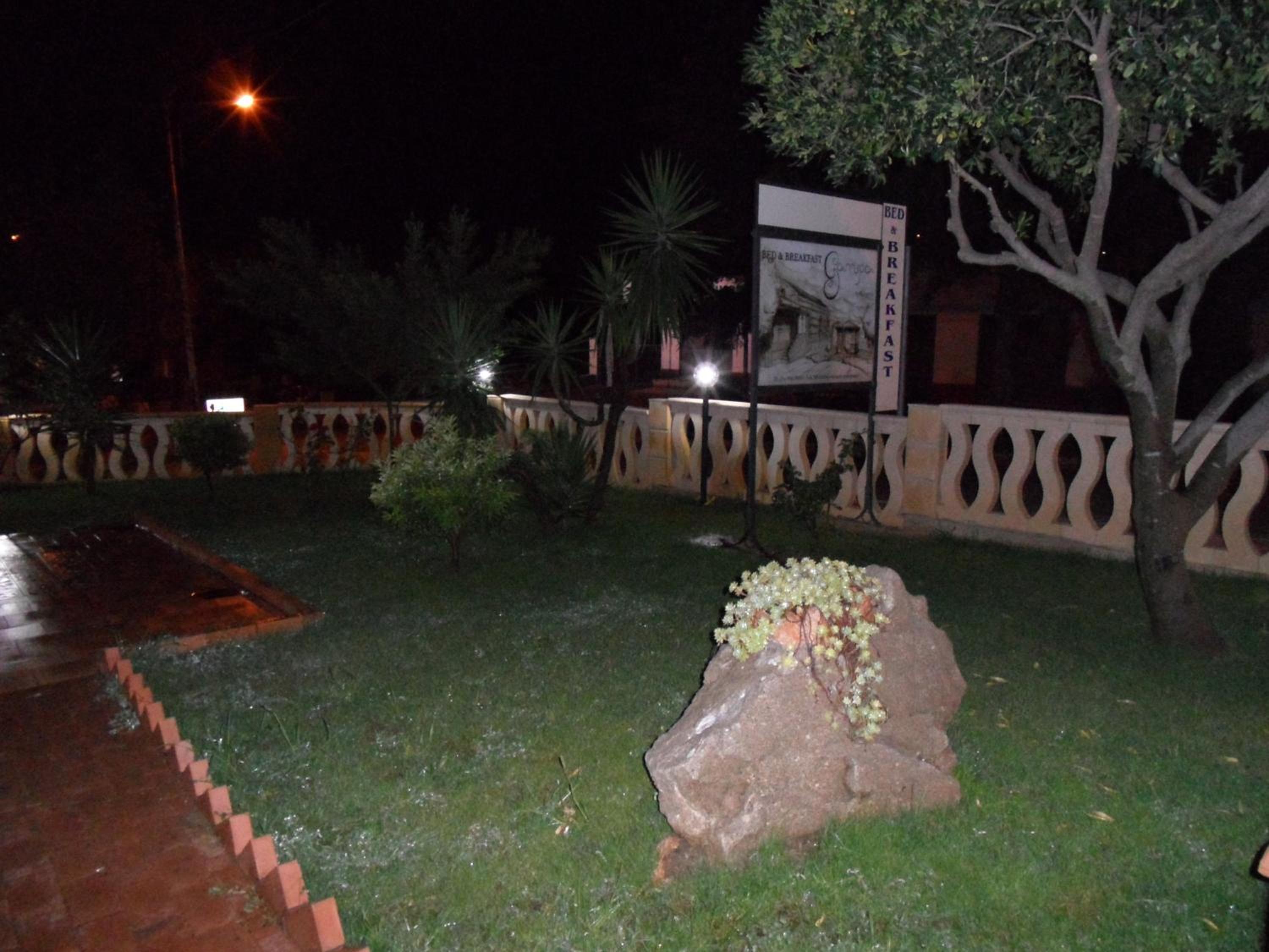 Photo 19