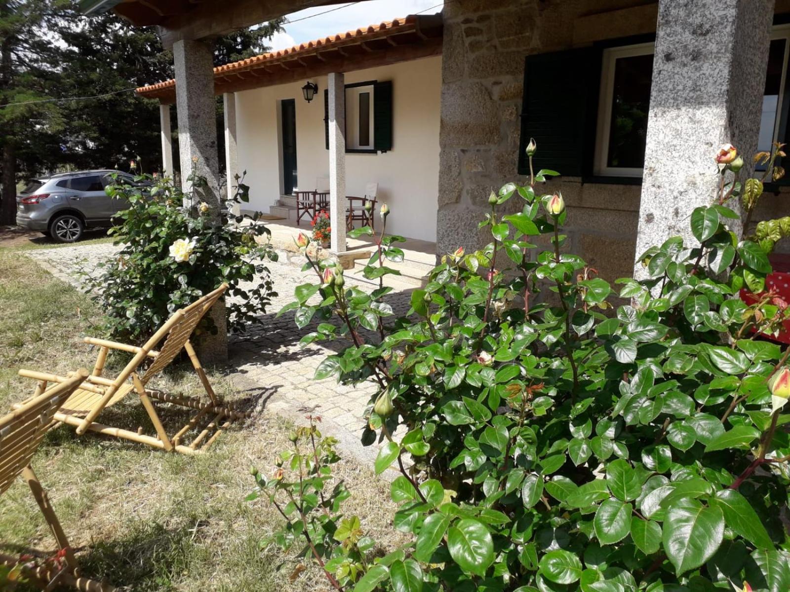Casa da Farmácia view 3