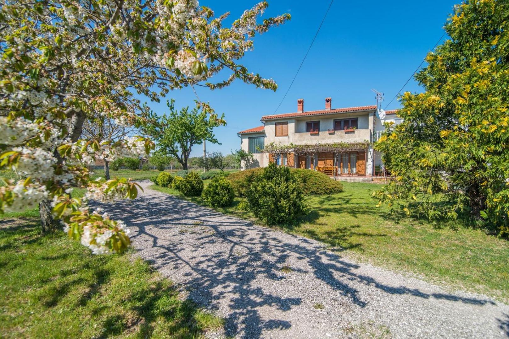 Apartment with Terrace in Filipana