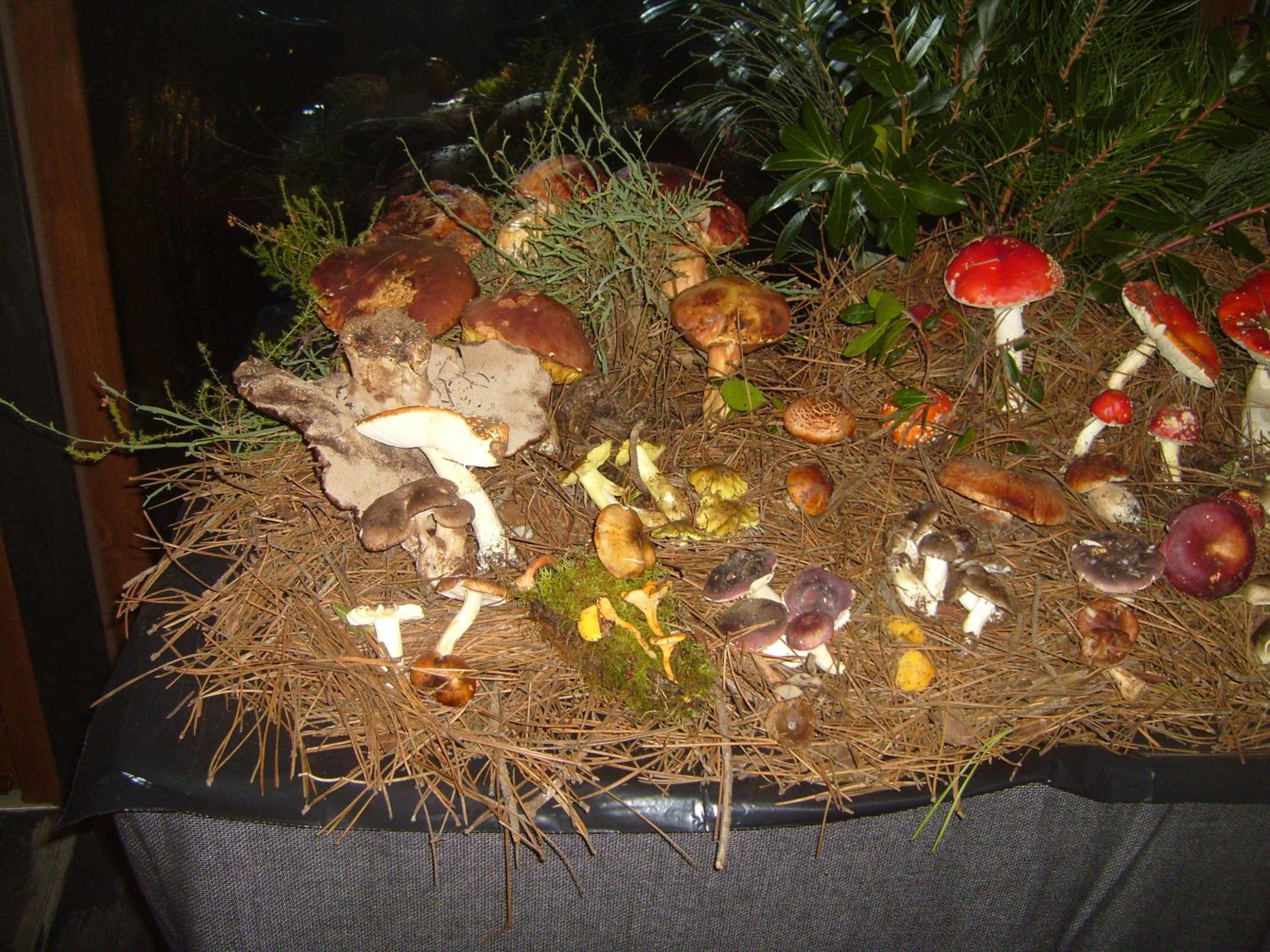 Photo 22