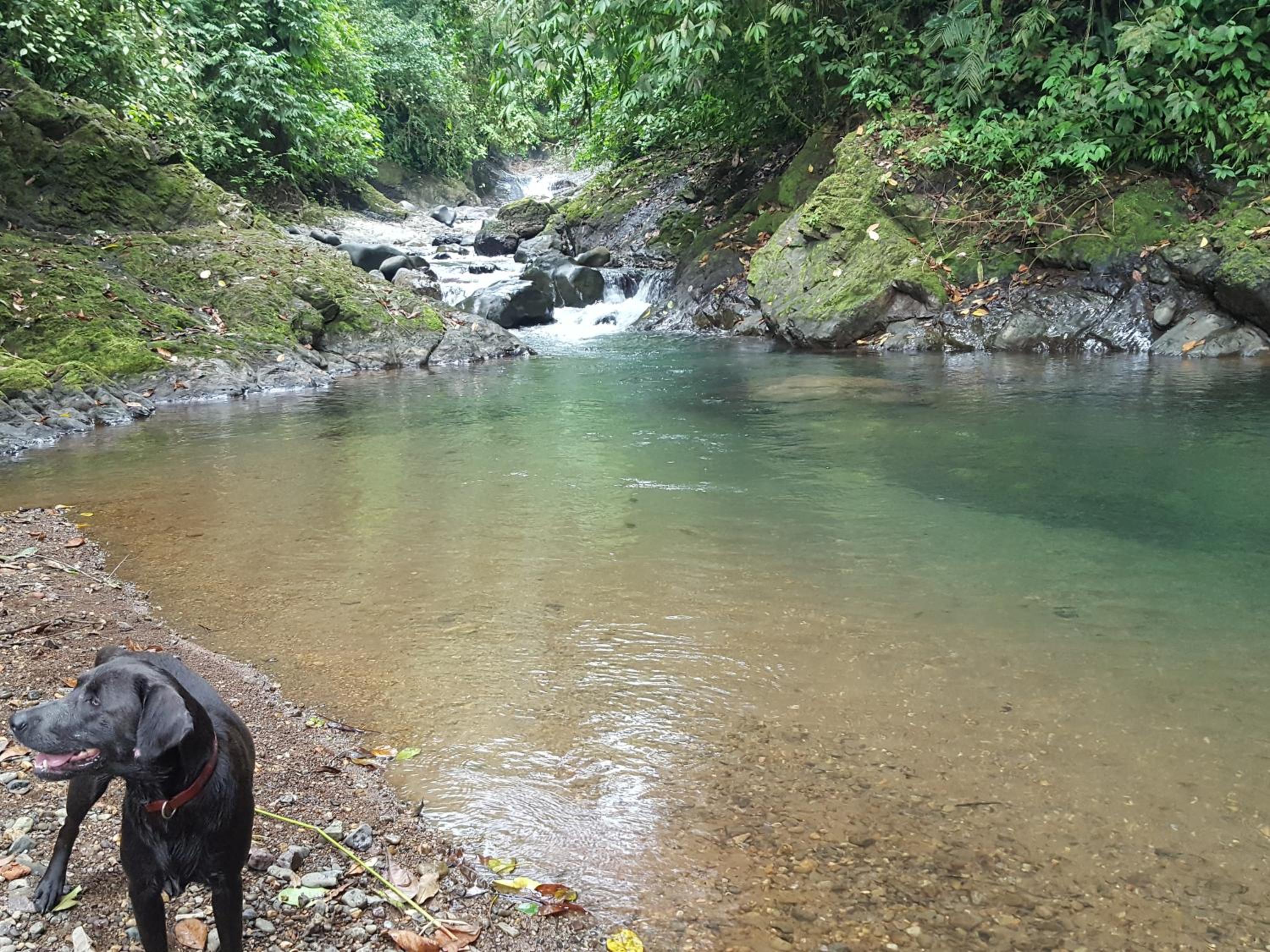 Hacienda Mil Bellezas - Private 40ha Jungle Reserve