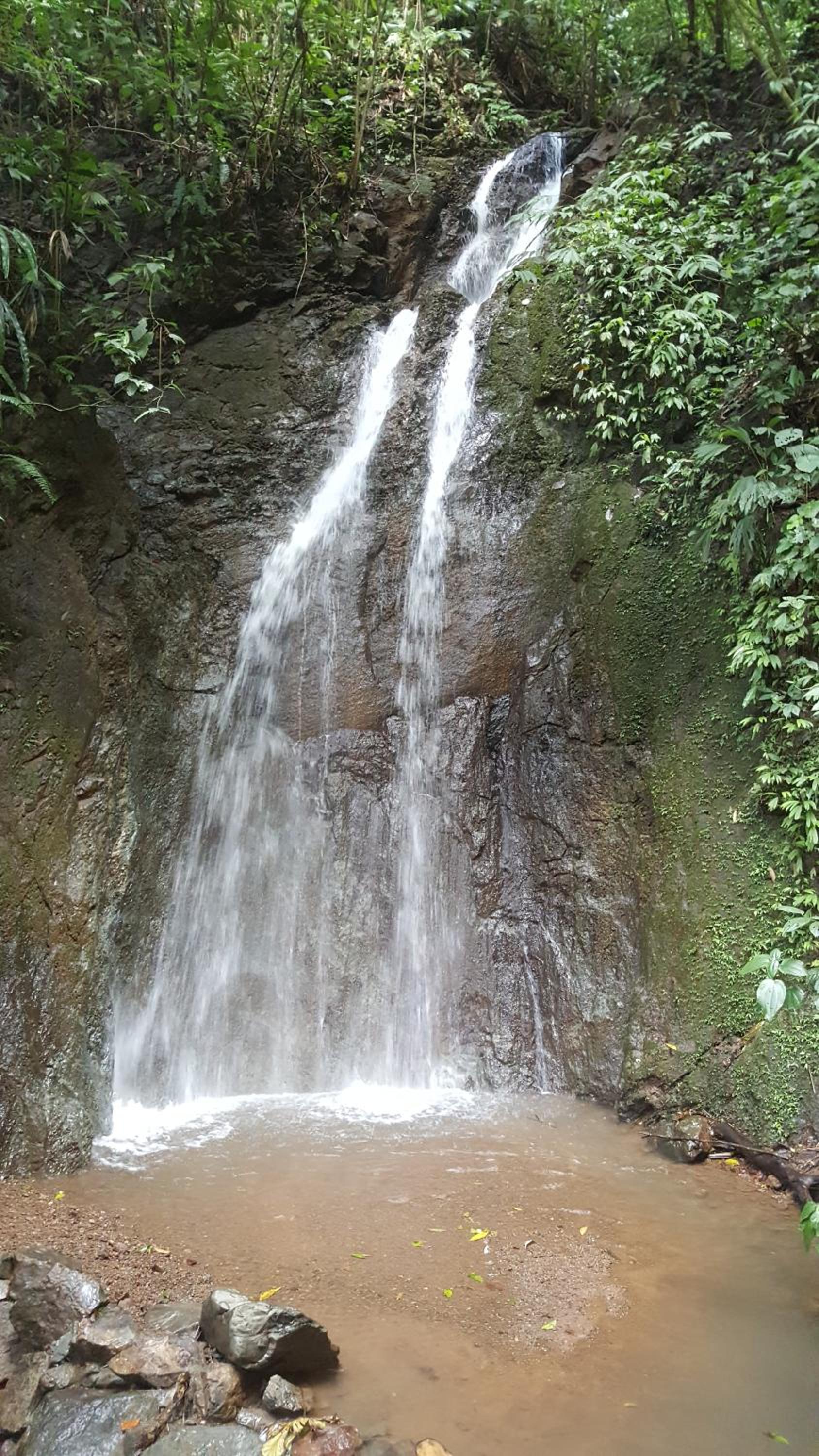 Hacienda Mil Bellezas - Private 40ha Jungle Reserve