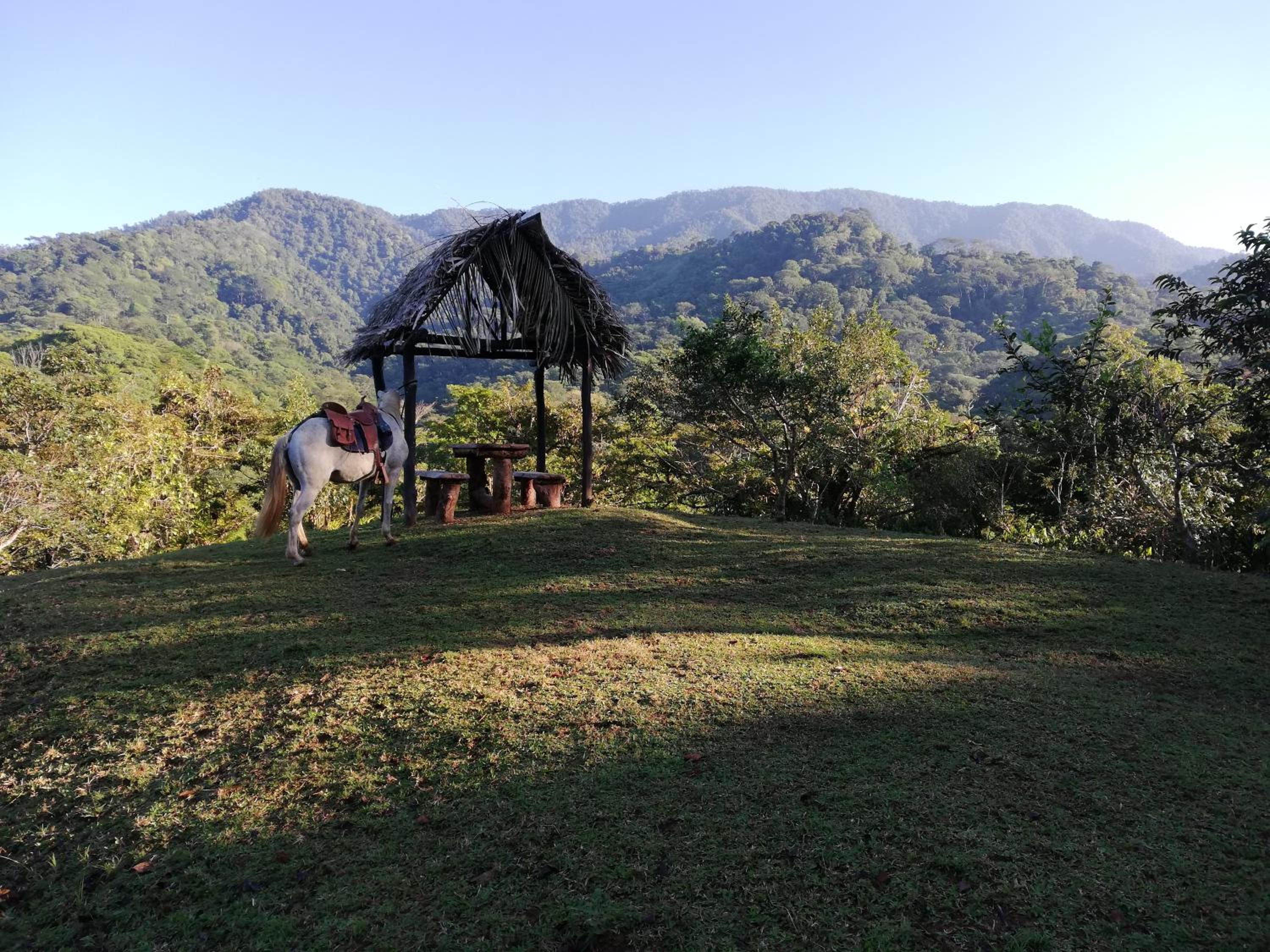 Hacienda Mil Bellezas - Private 40ha Jungle Reserve