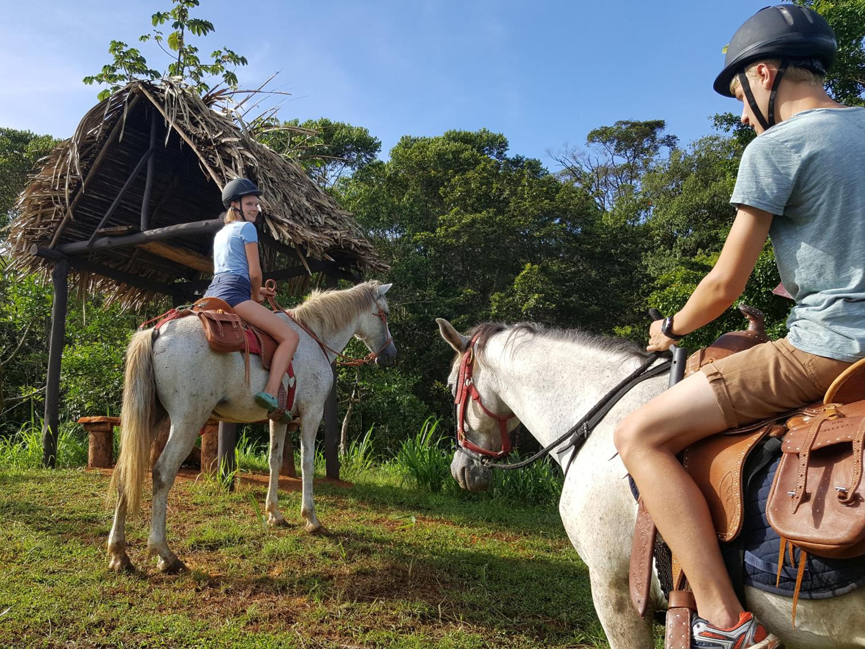 Hacienda Mil Bellezas - Private 40ha Jungle Reserve