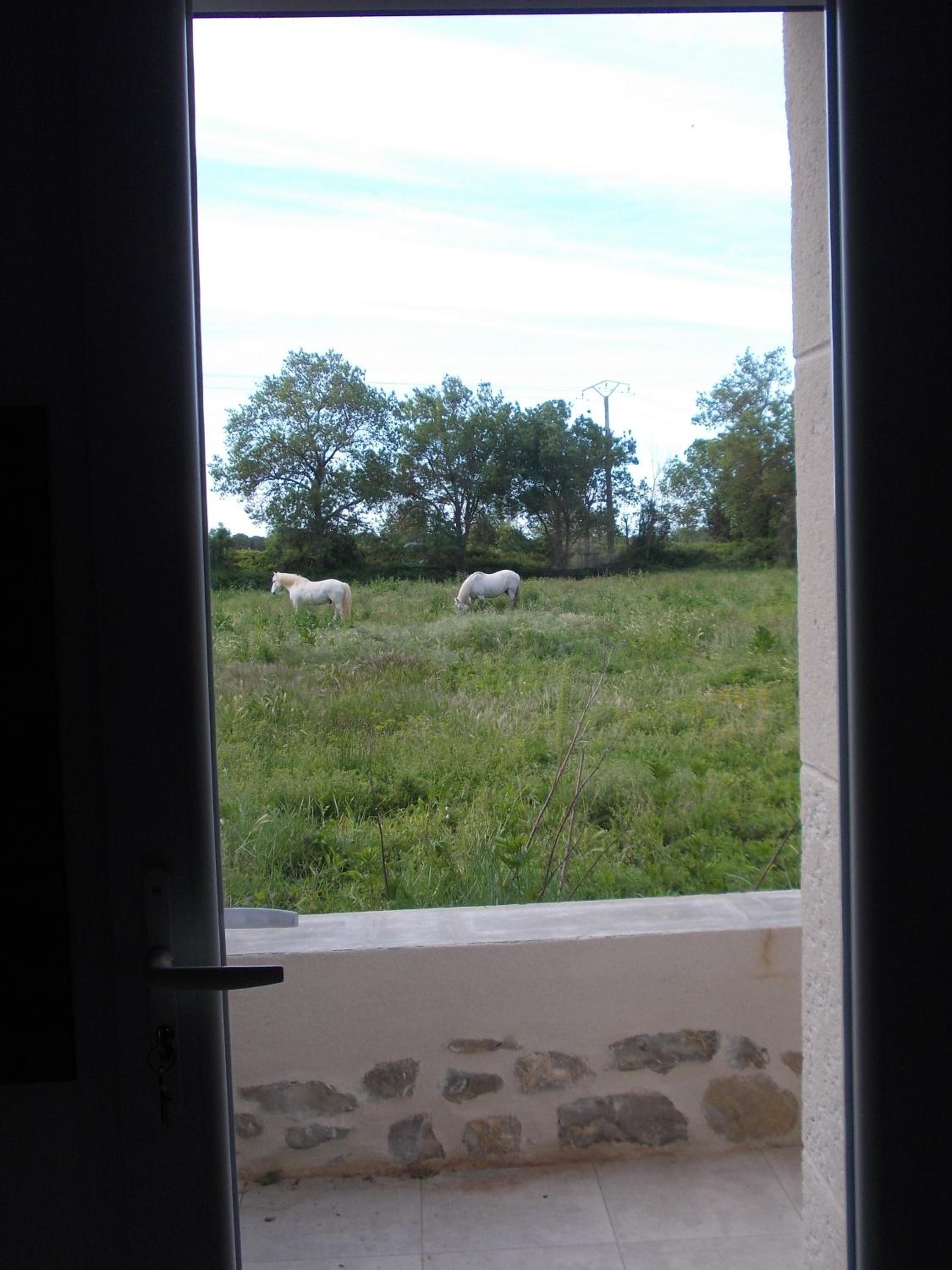 Mas Les Saules, photo 18