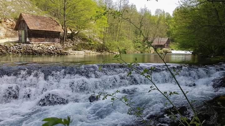 Apartman Drenovac