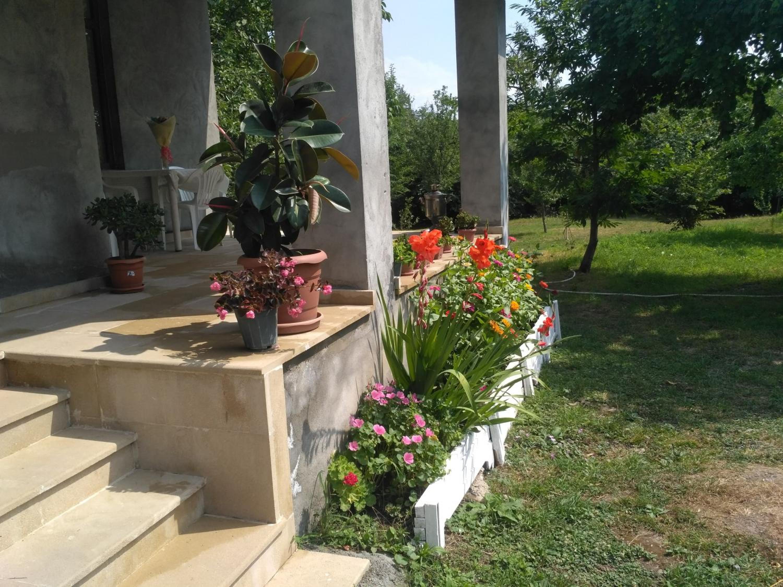 Gabala Dreams