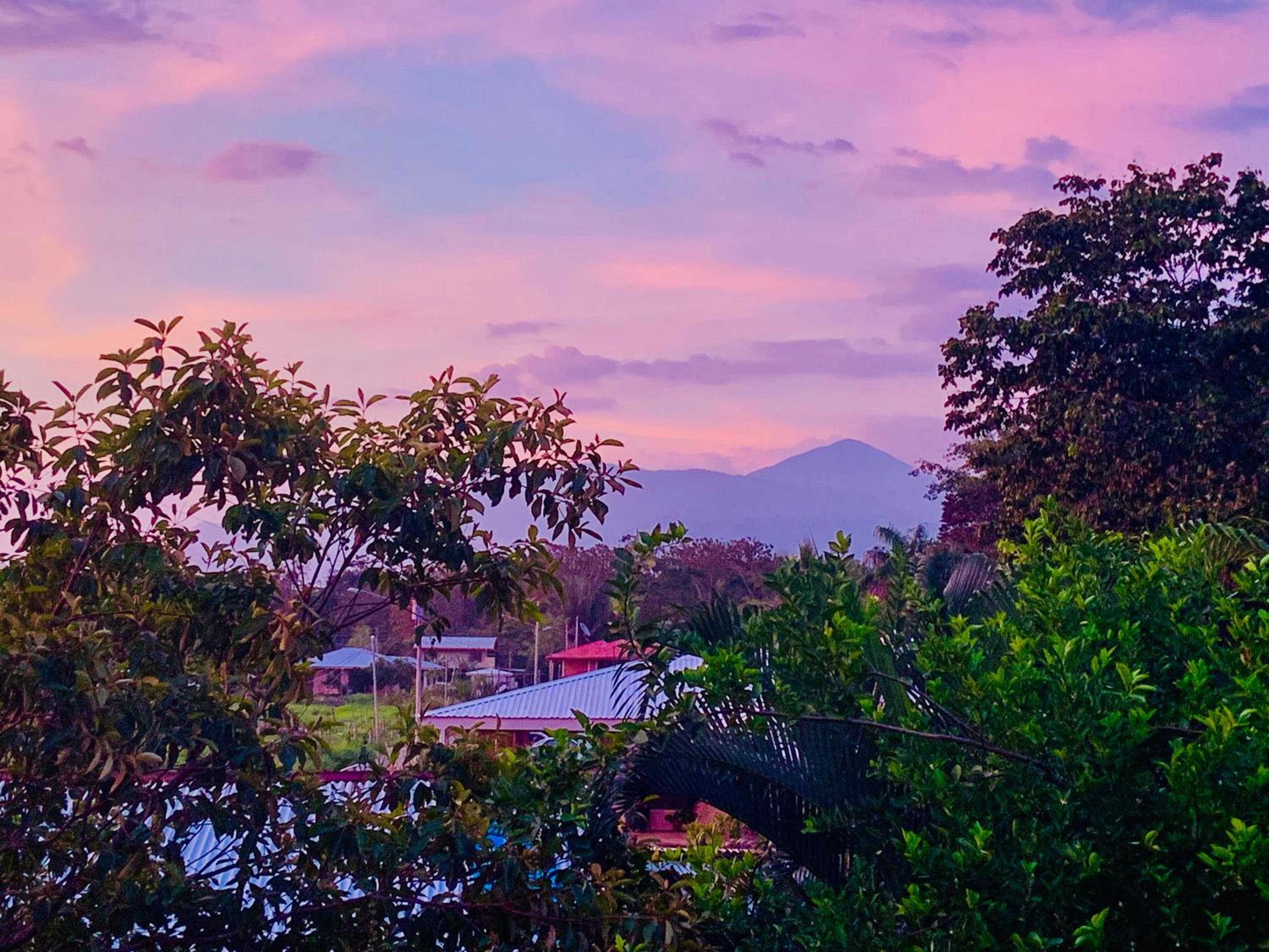 Guest House Pura Vida