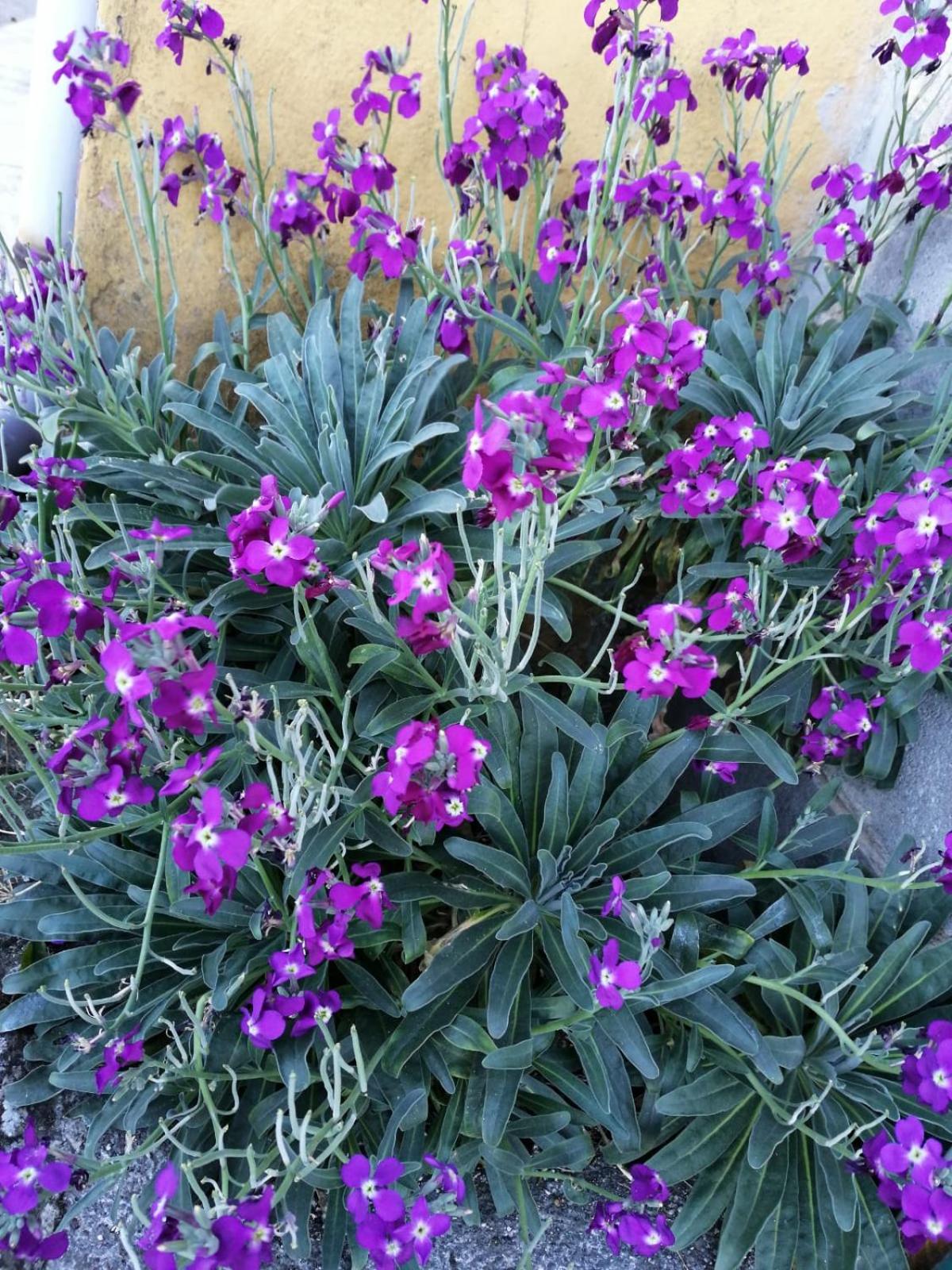 Photo 42