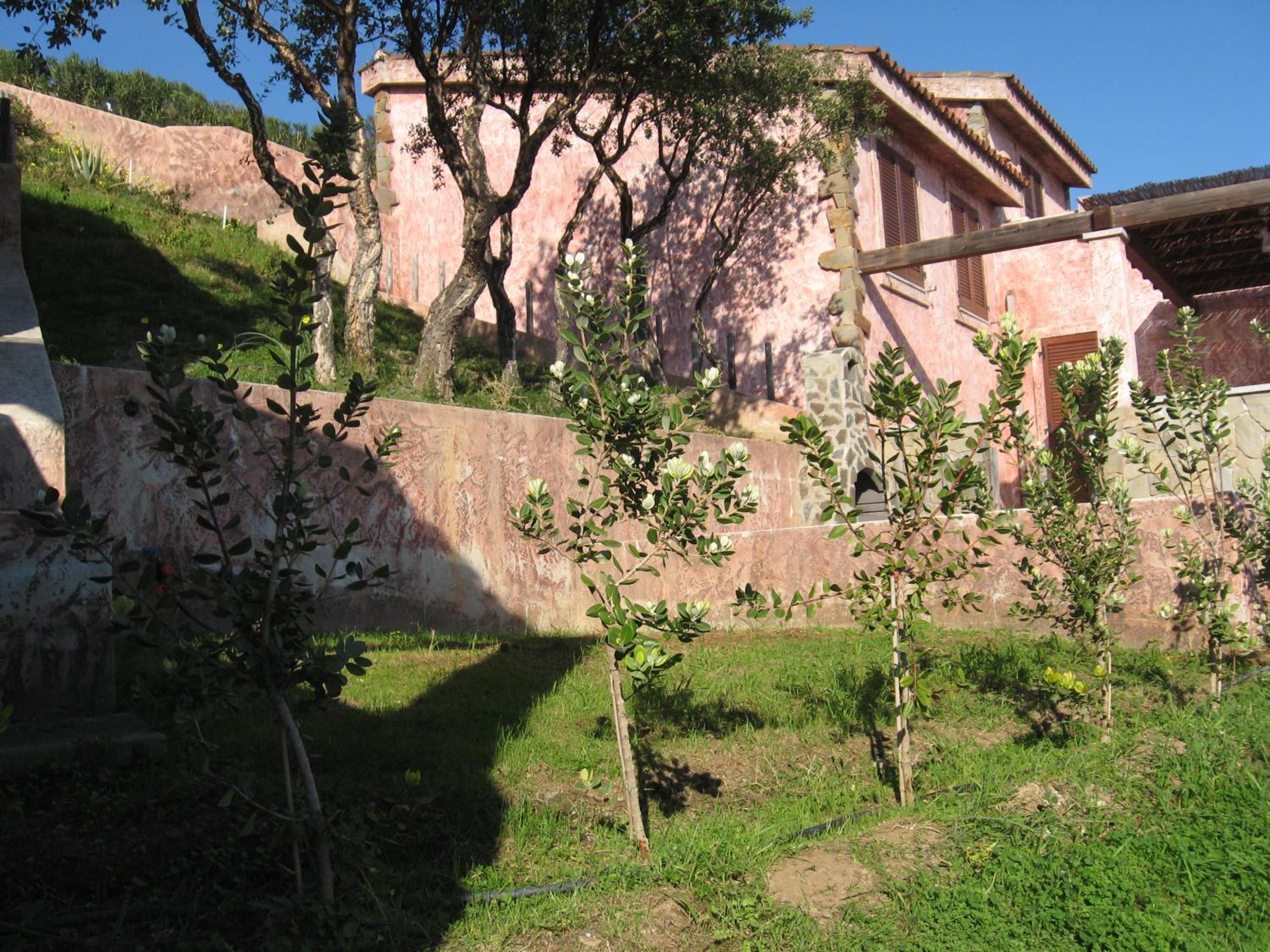 Casa Porto Corallo photo 3