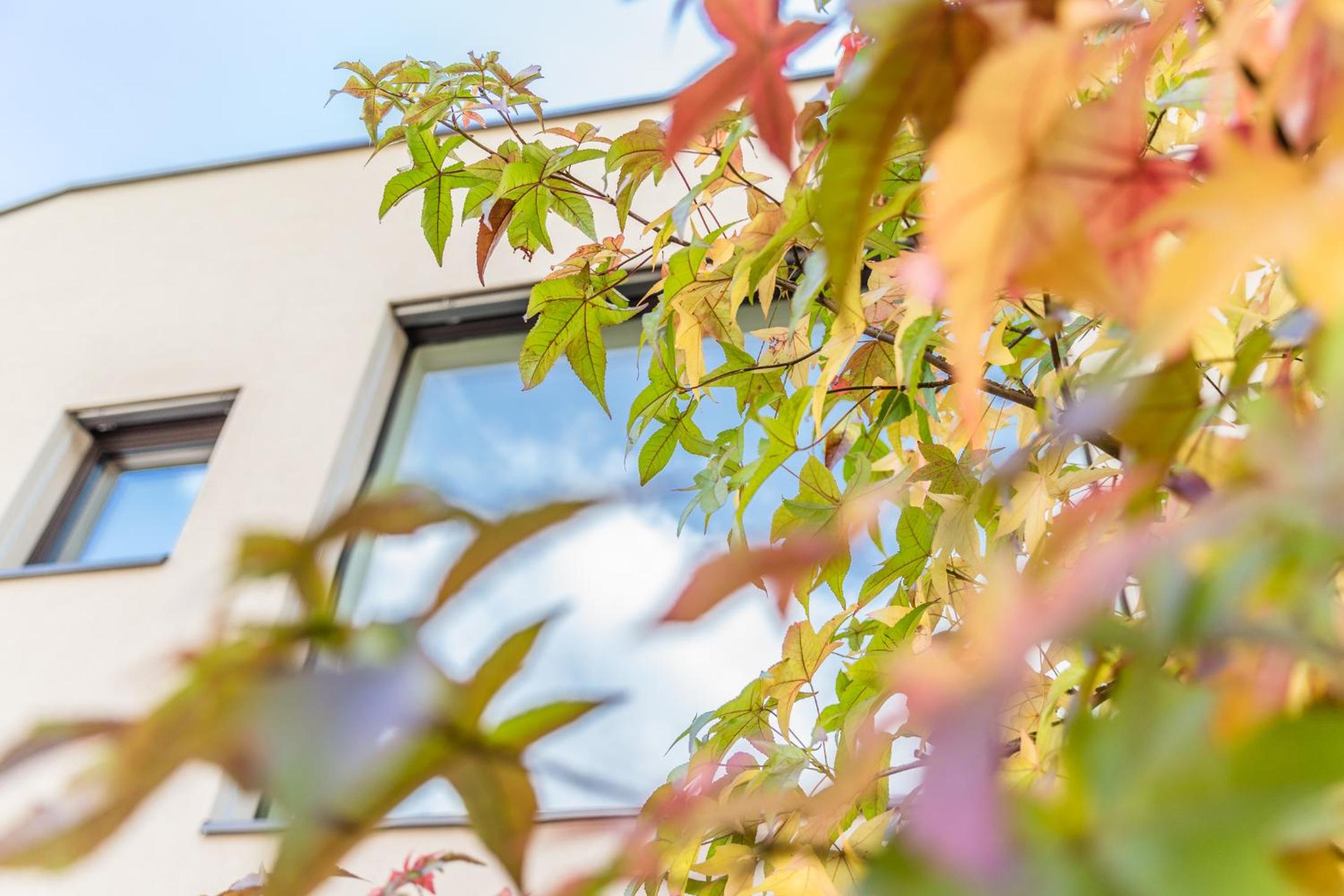 Hof im Kalch Tramin