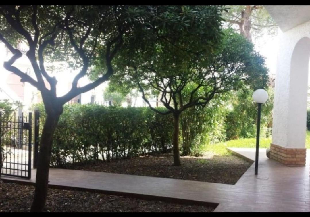 Casa al mare con ampio giardino view 3