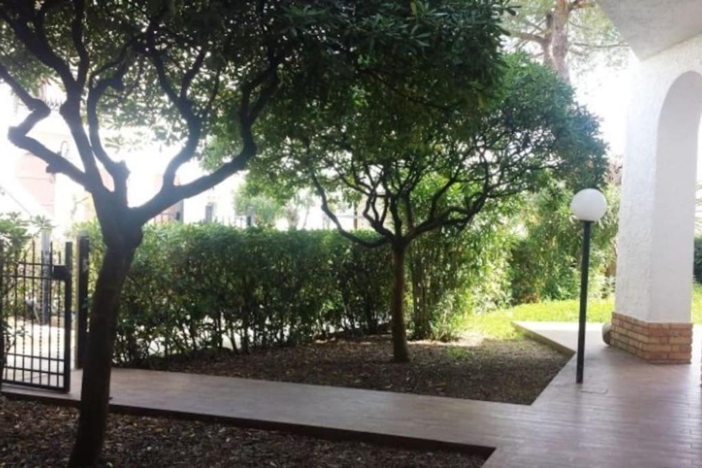 Casa al mare con ampio giardino view 2