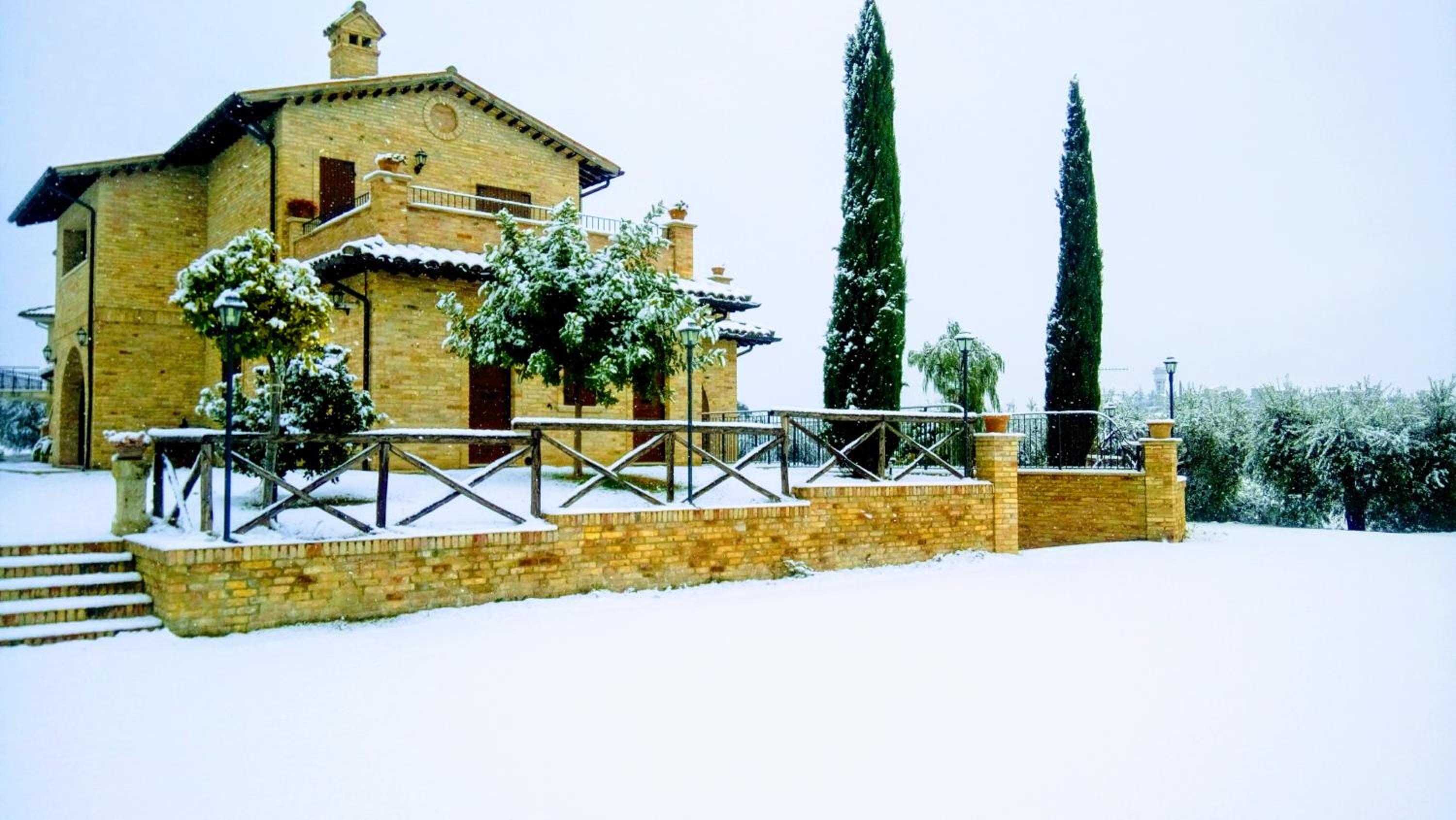 Photo 42