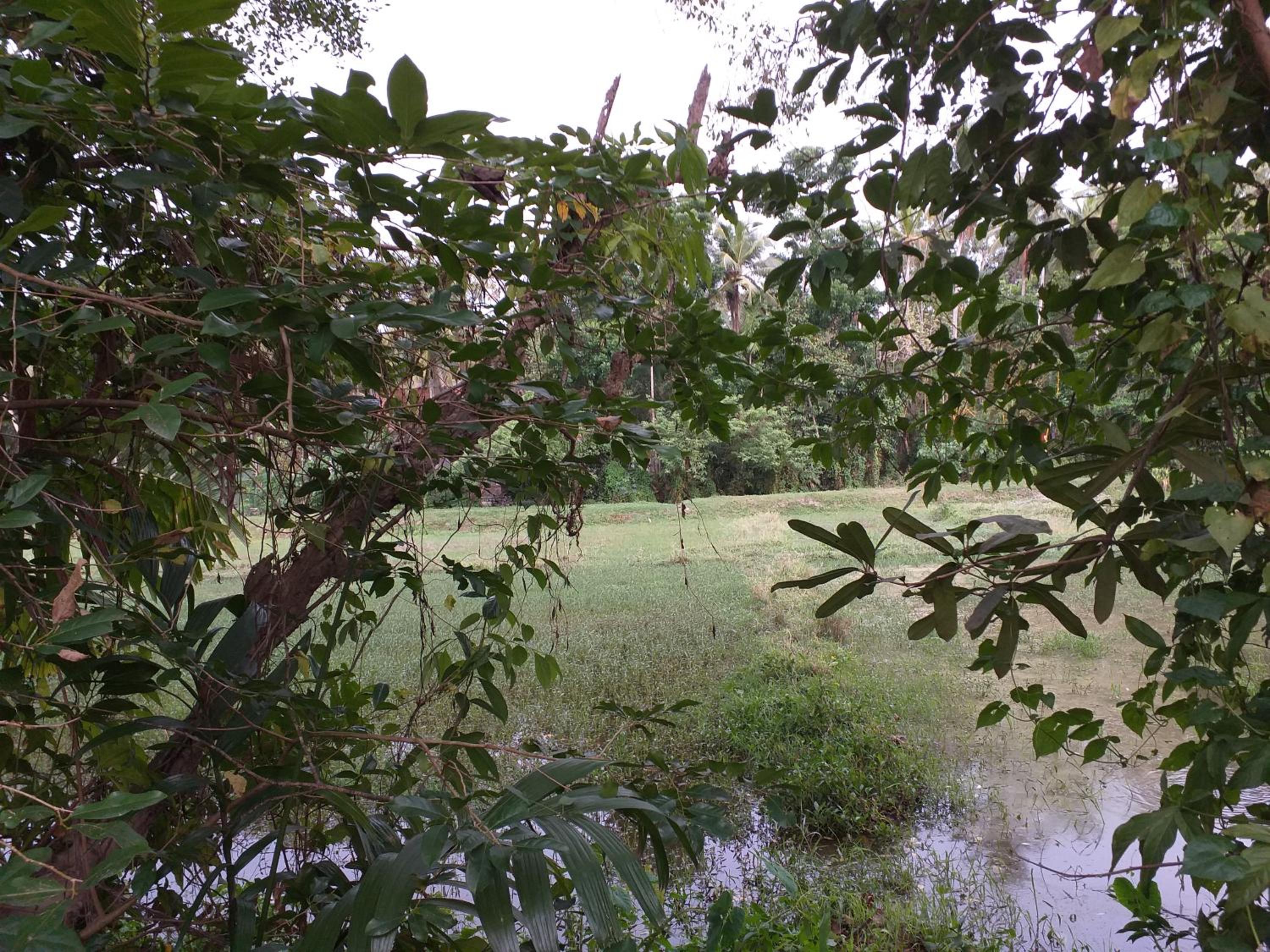 Photo 38