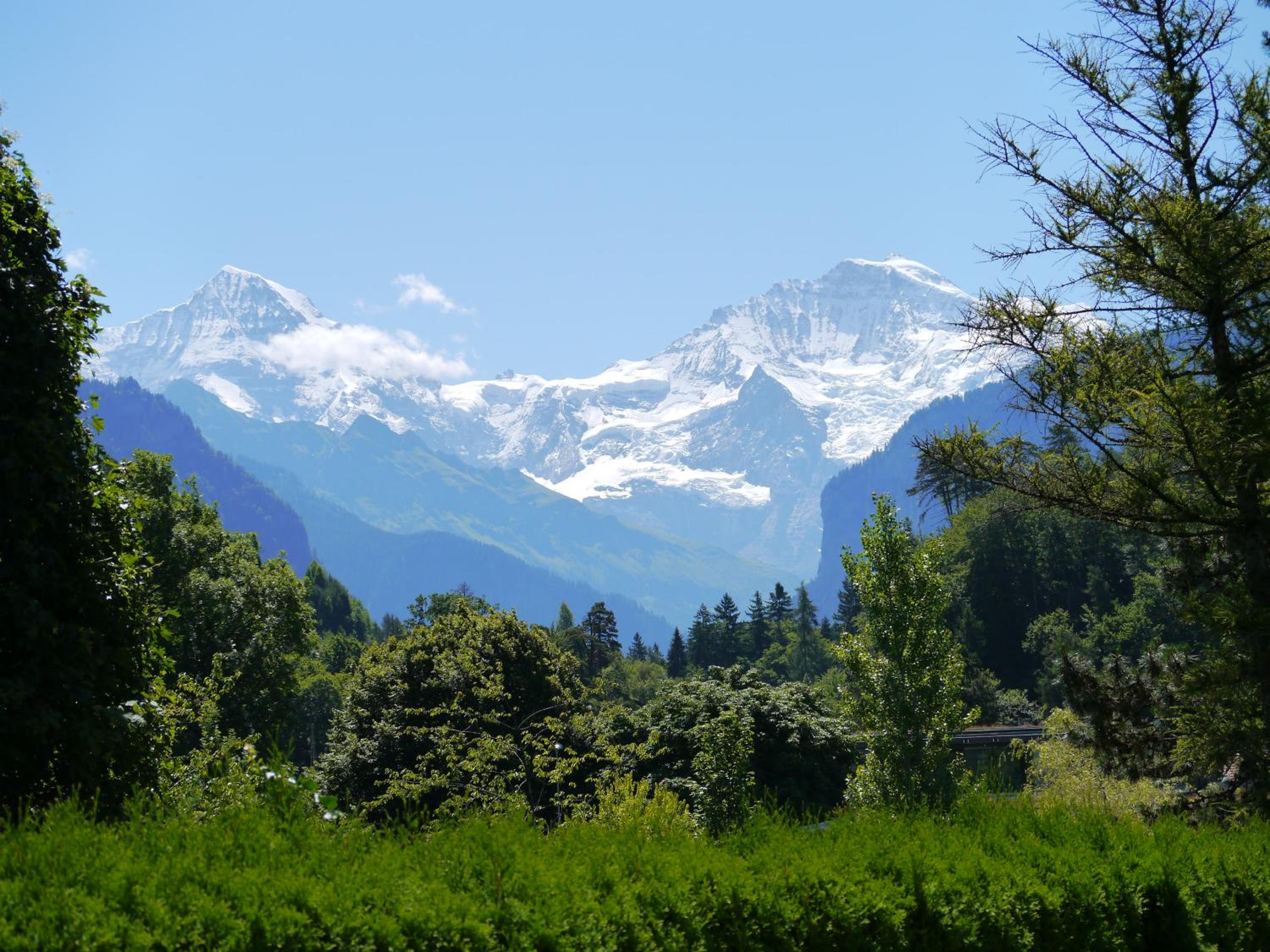 Photo 43