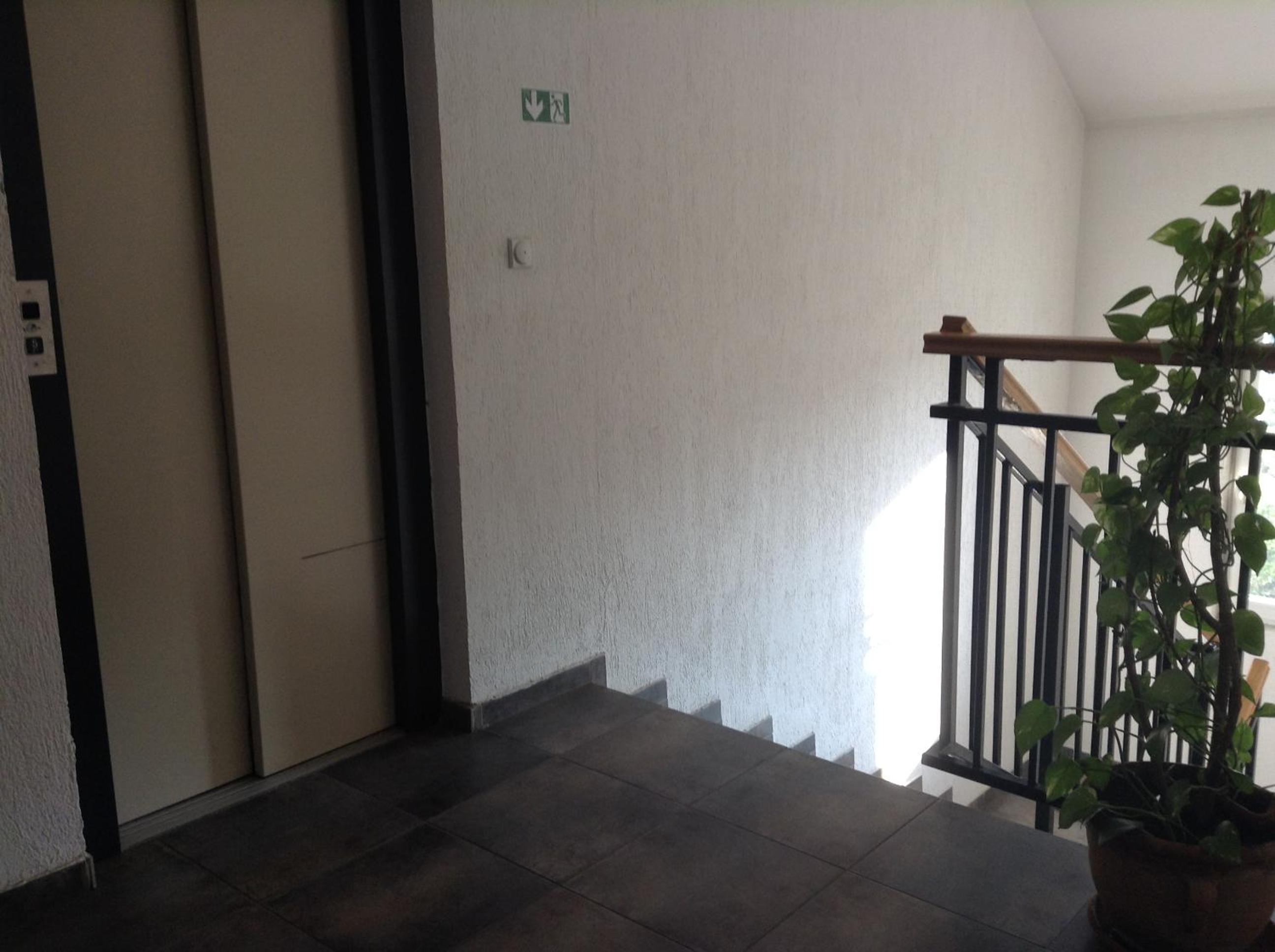 Photo 42