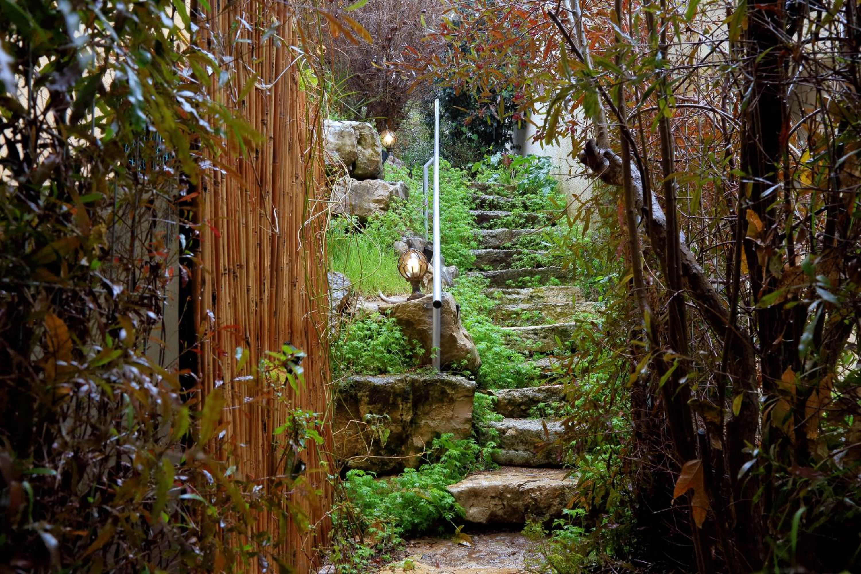 The Rose Trail view 2