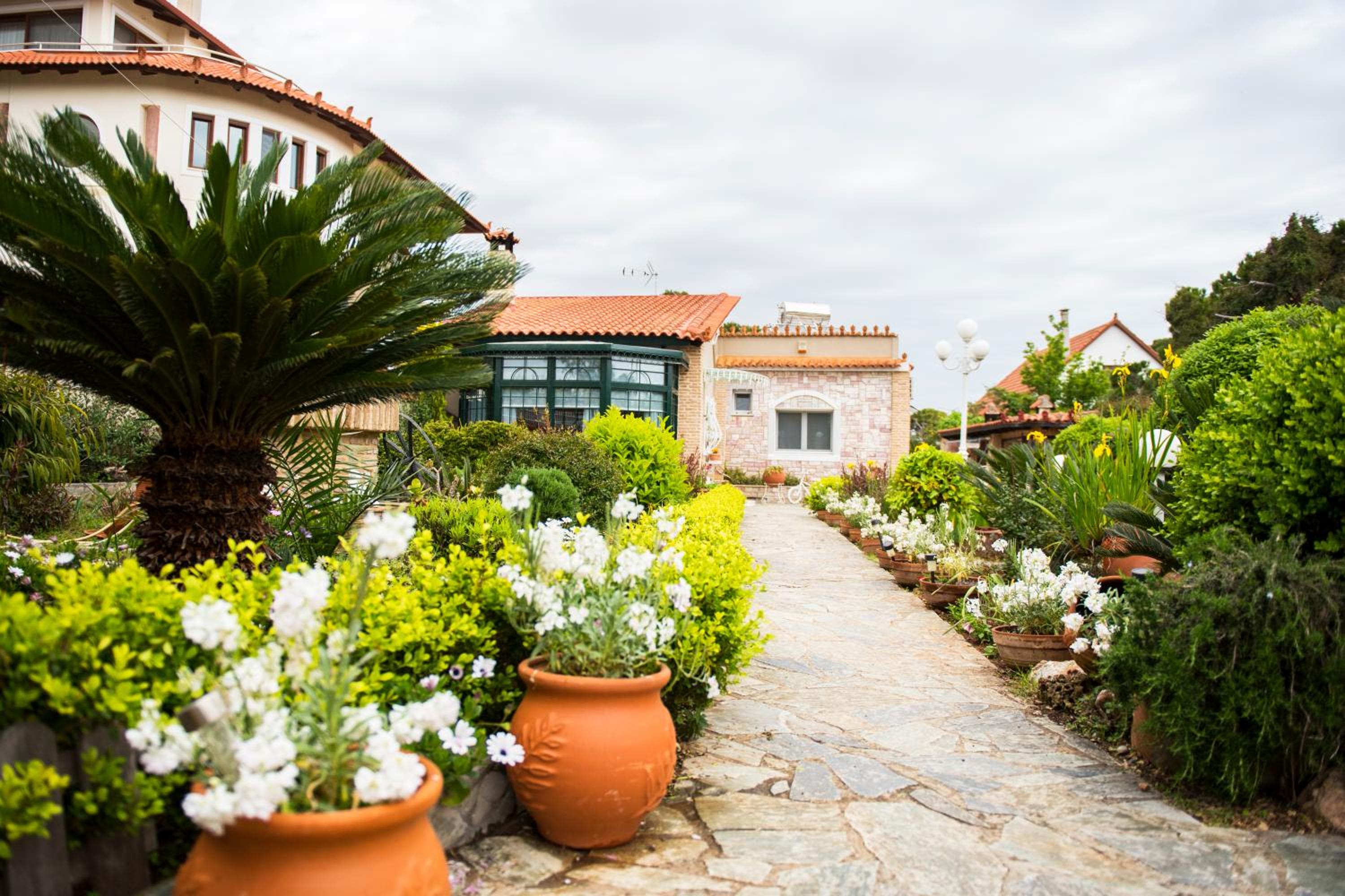 Natalie Apartments photo 3