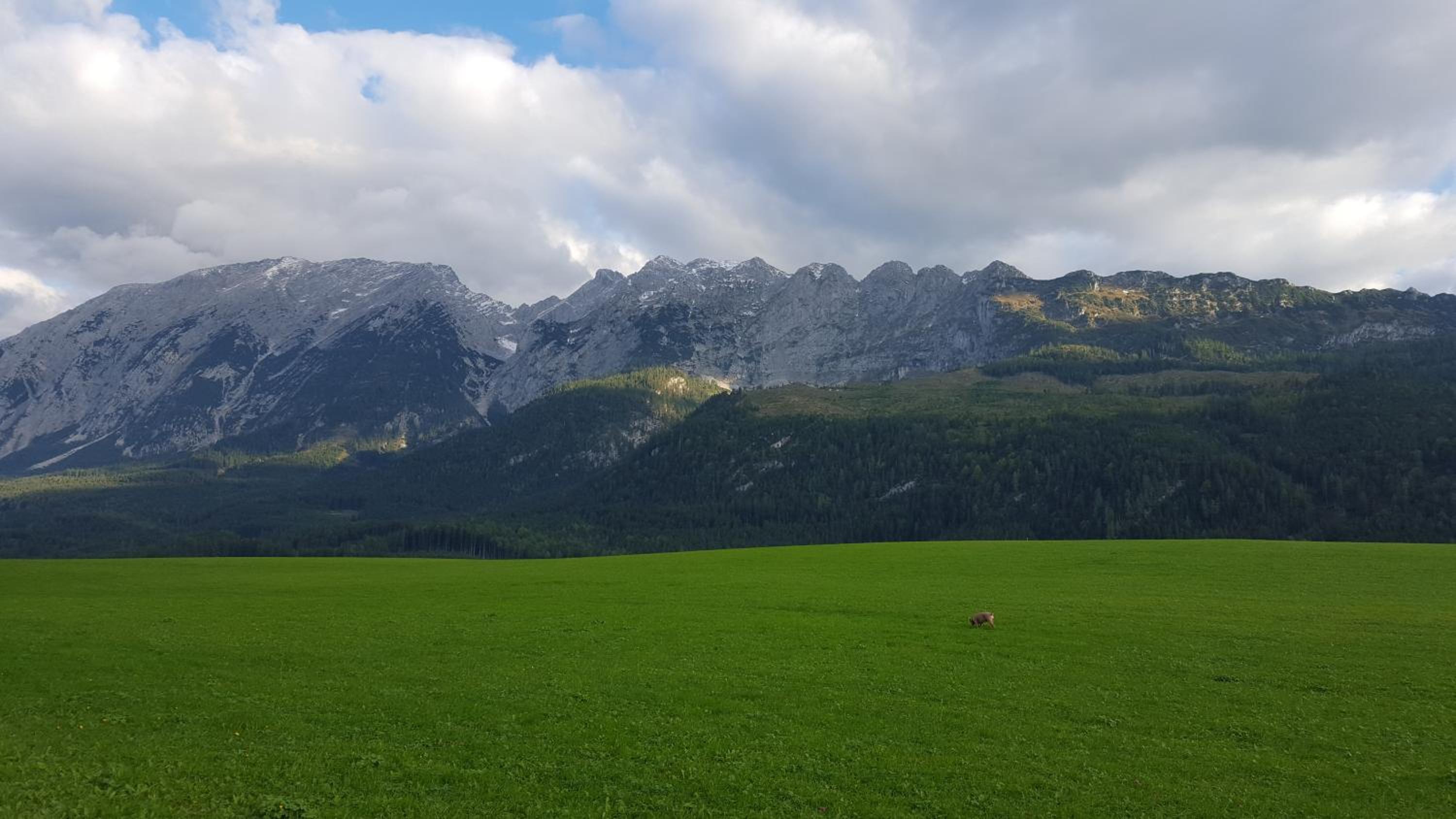 Sandras Ferienhaus Bungalow Sonnenalm