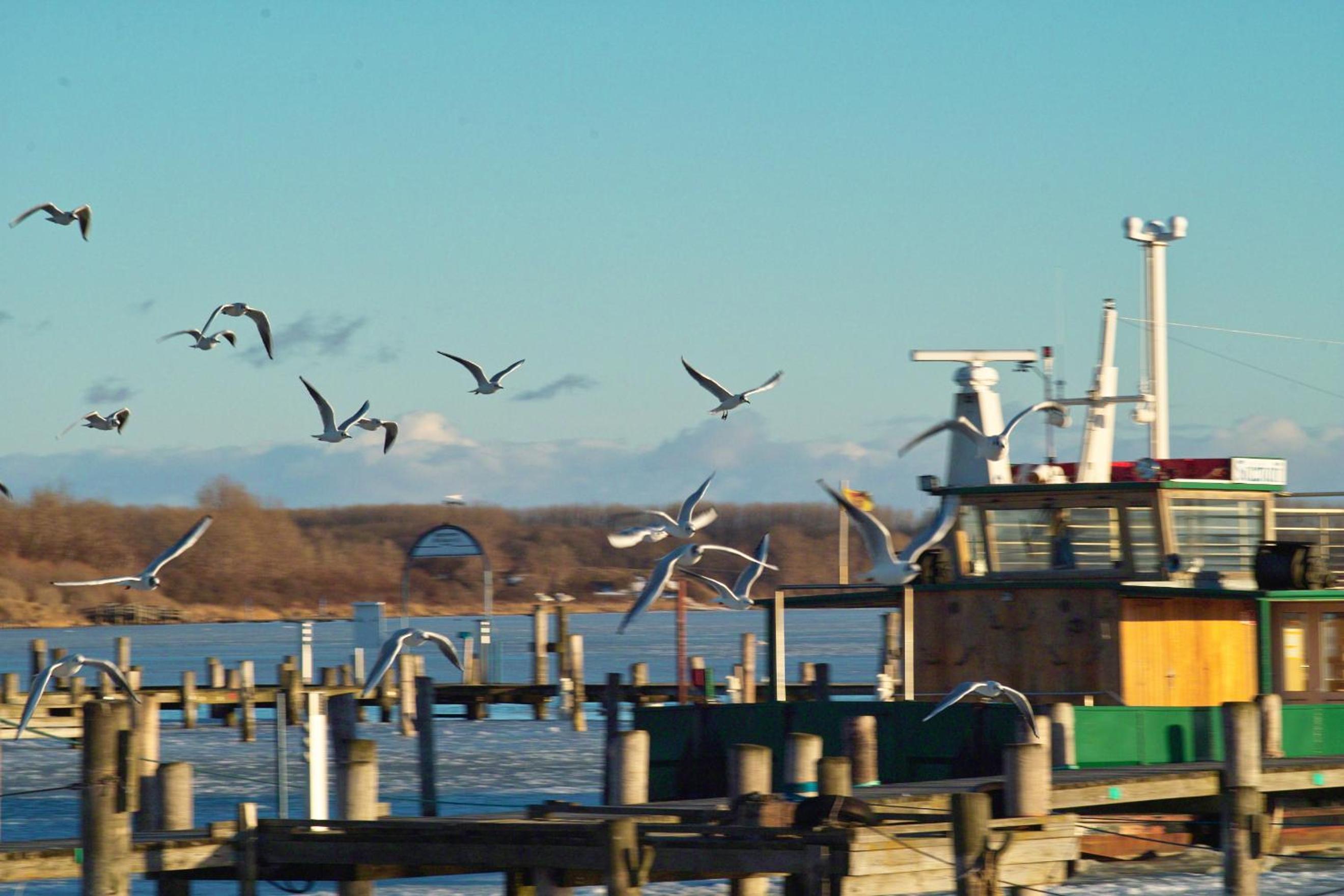 FeWo an der Ostsee Nr. 2 view 5