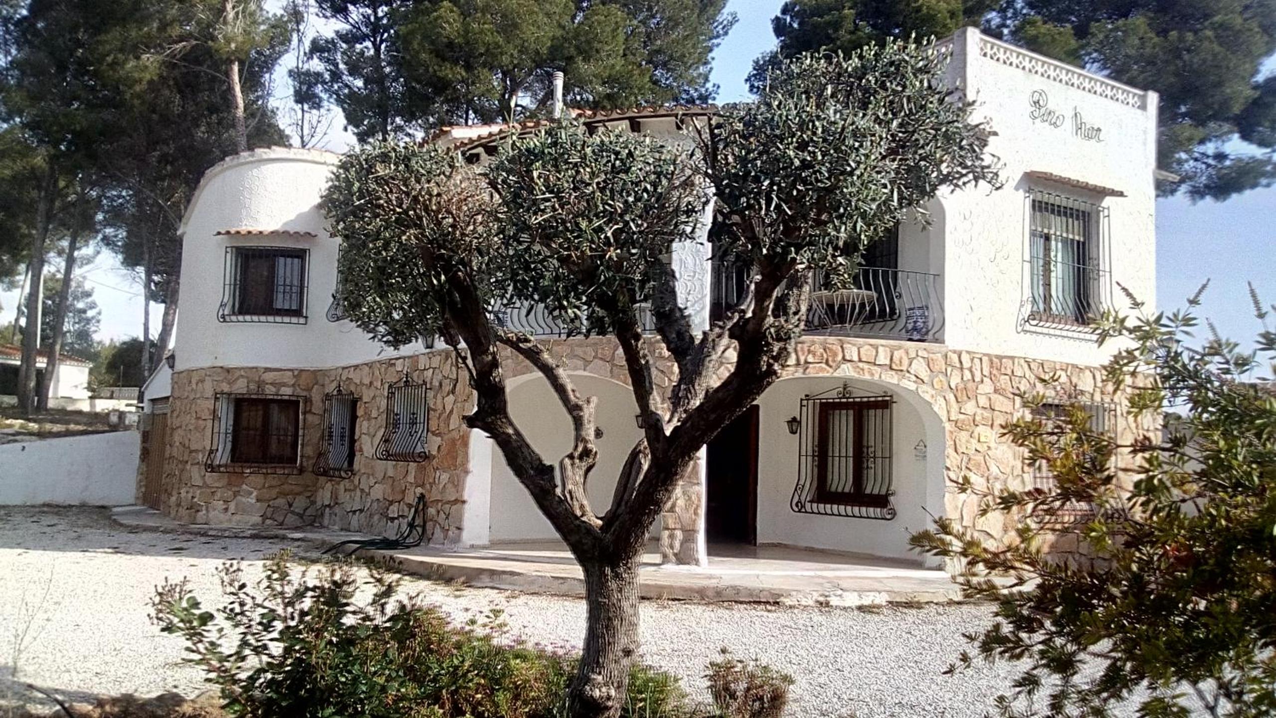 pinomar photo 2