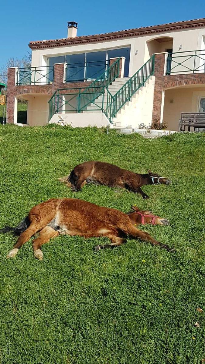 Domaine de Campras B&B