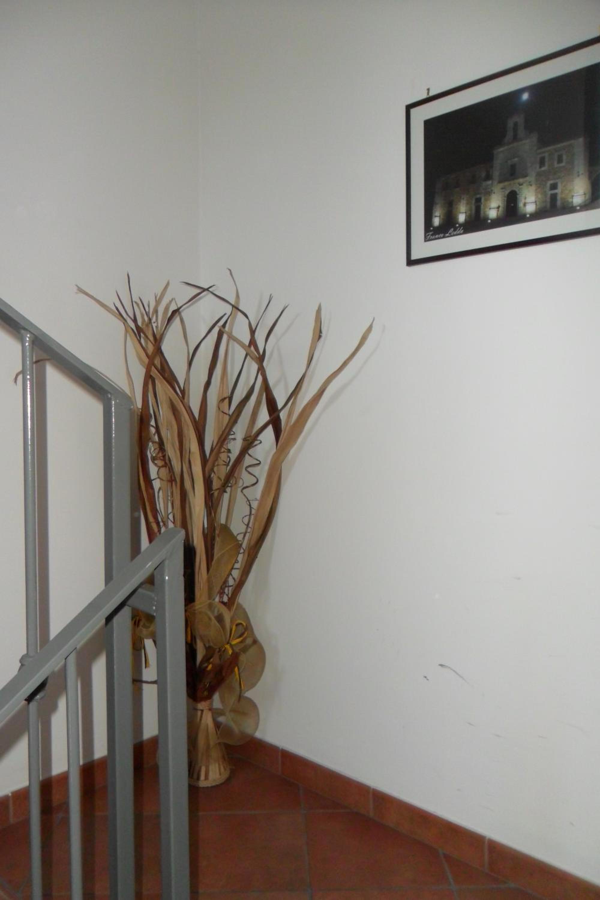 Photo 50