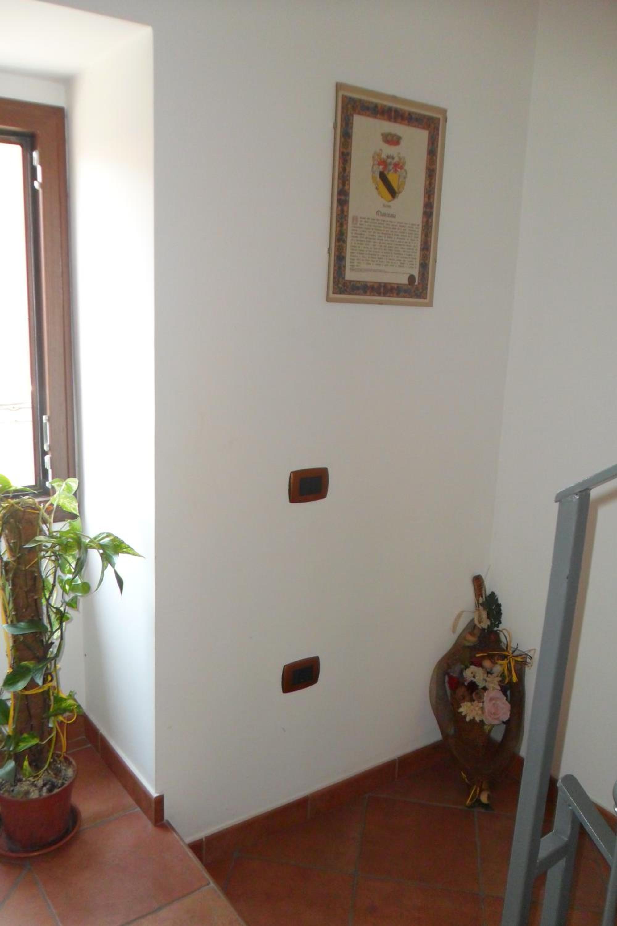 Photo 52